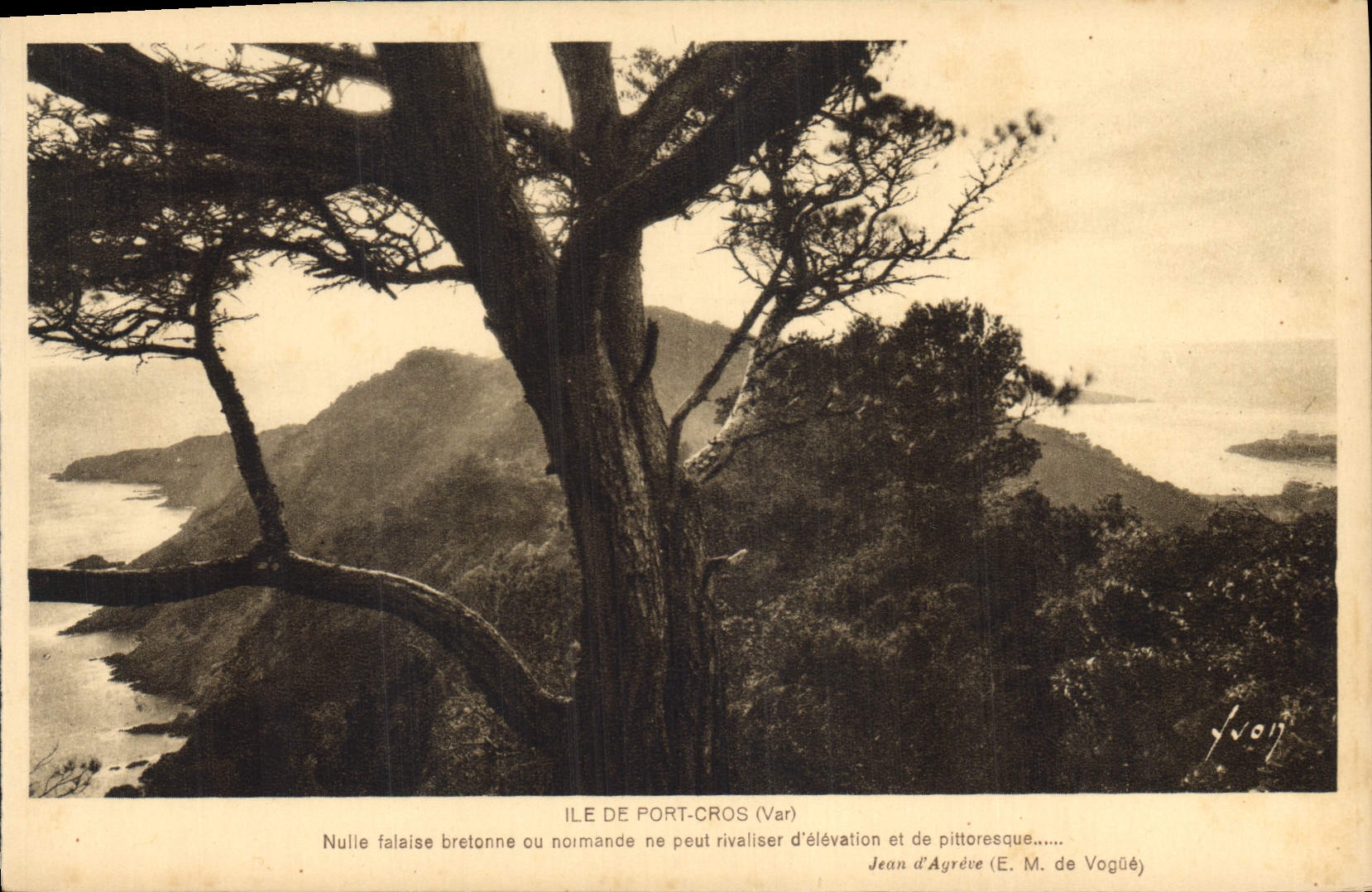 CPA Ile de Port Cros Var Nullee faloine ou normande ne peut rvalier d'elevation et de pittoresque
