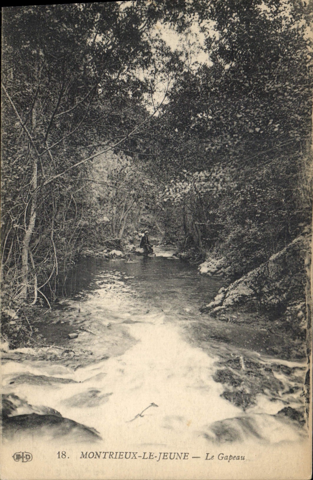 CPA Montrieux Le Jeune Le Gapeau 