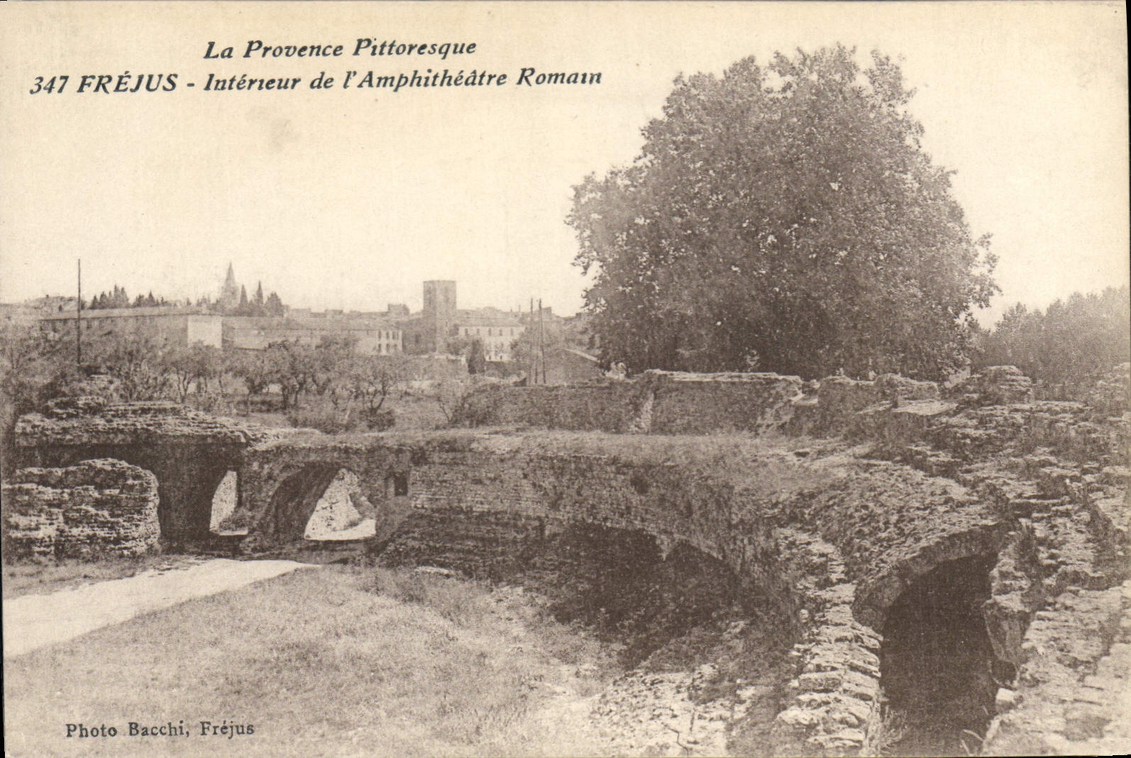 CPA Frejus Interieur de l'Amphitheatre Romain