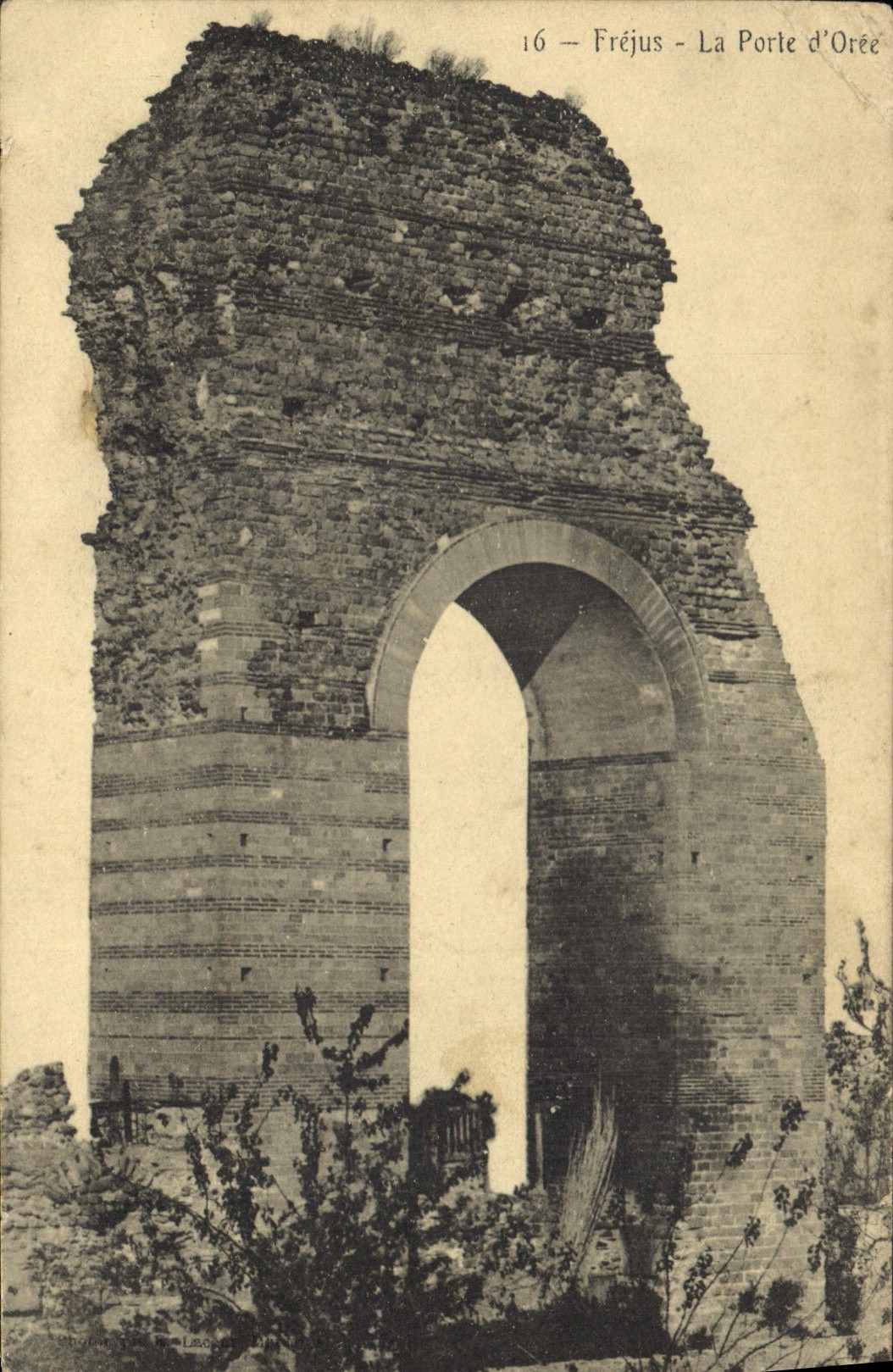 CPA Frejus La Porte d'Oree 