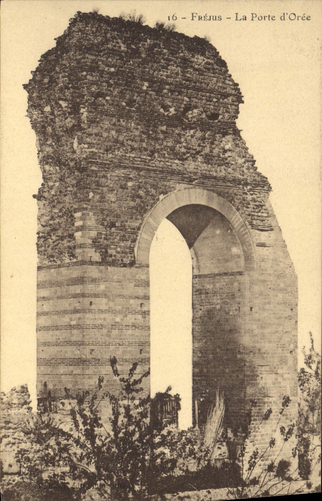 CPA Frejus La Porte d'Oree 