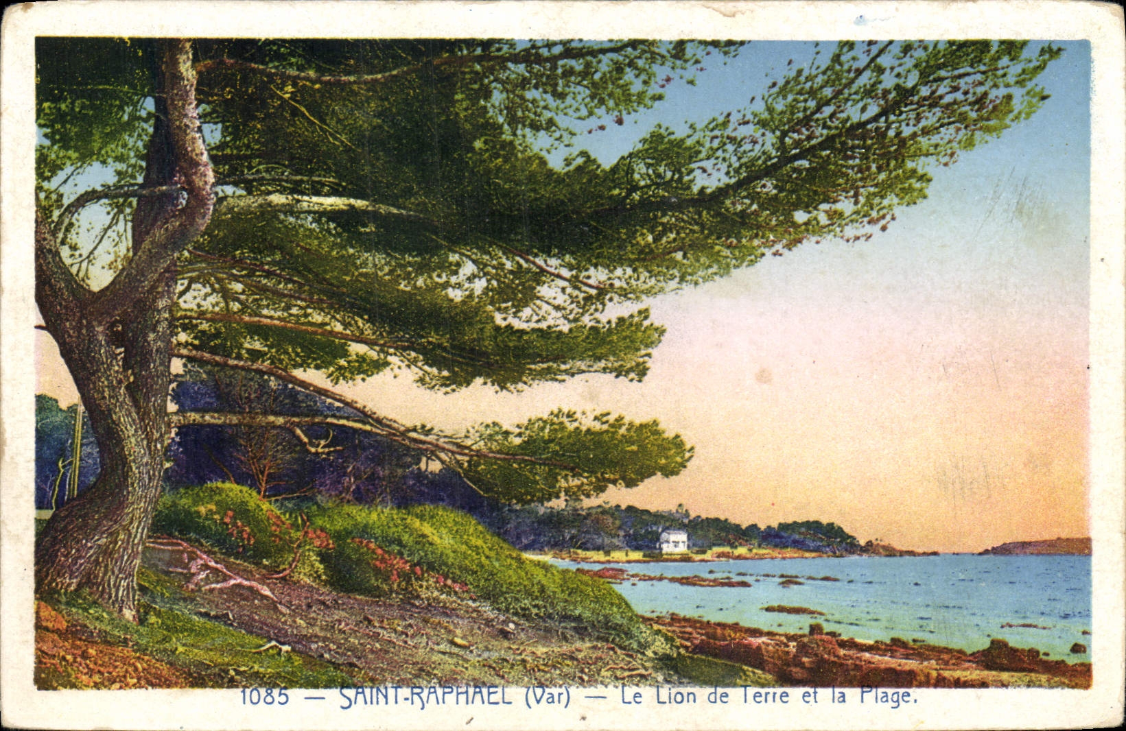 CPA Saint Raphael Var Le Lion de Terre et le Plage