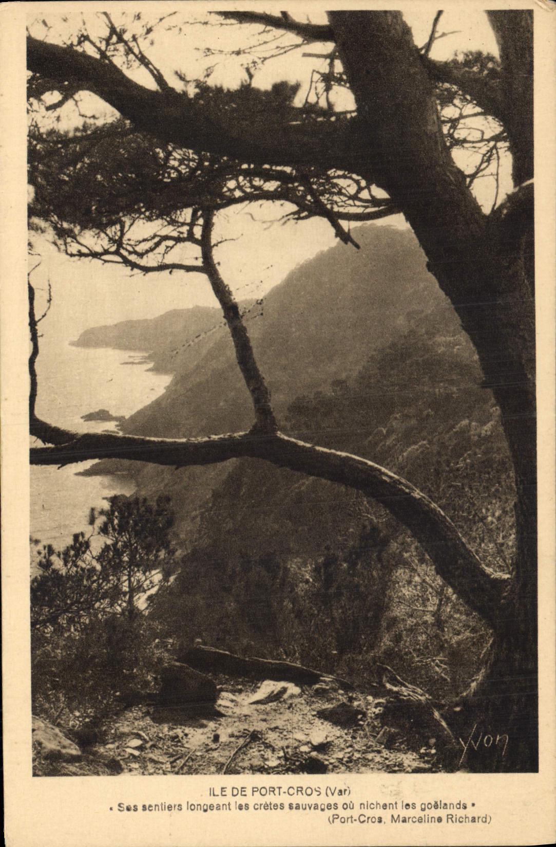 CPA Ile de Port Cros Var 