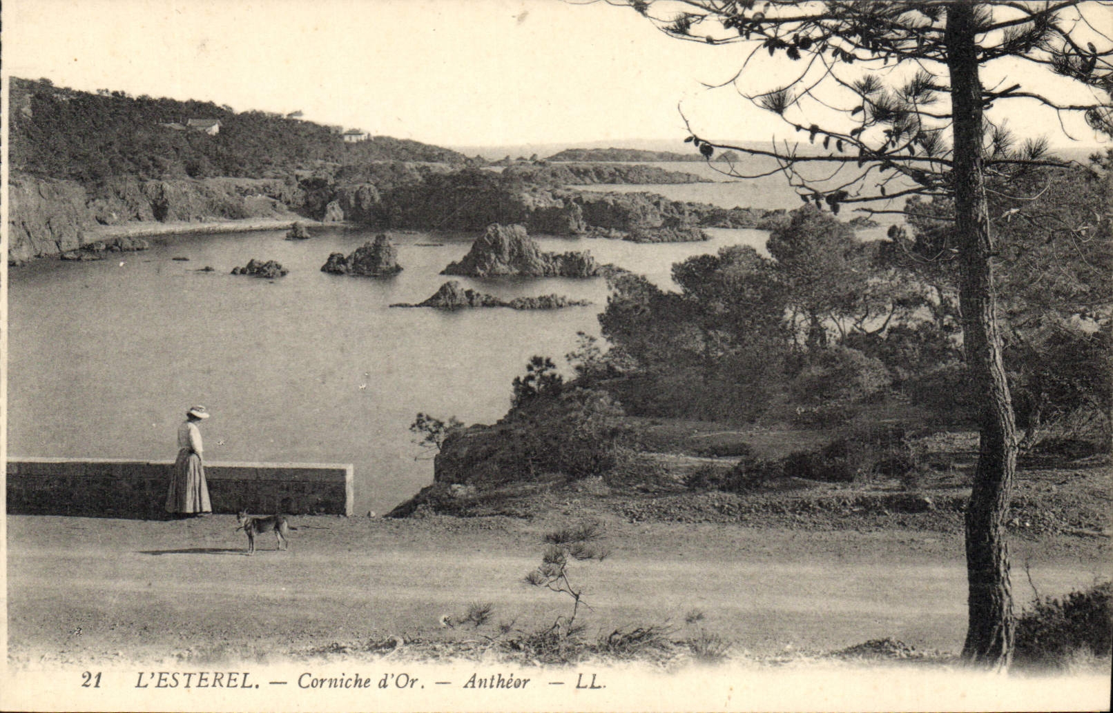 CPA L'Esterel Corniche d'Or Antheor
