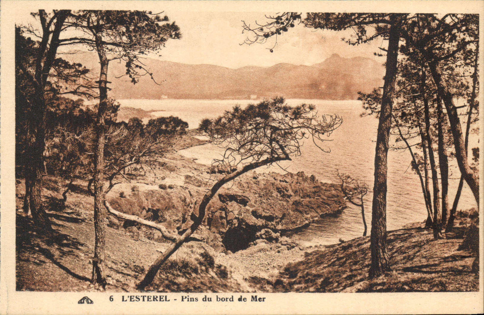 CPA L'Esterel Pins du bord de Mer