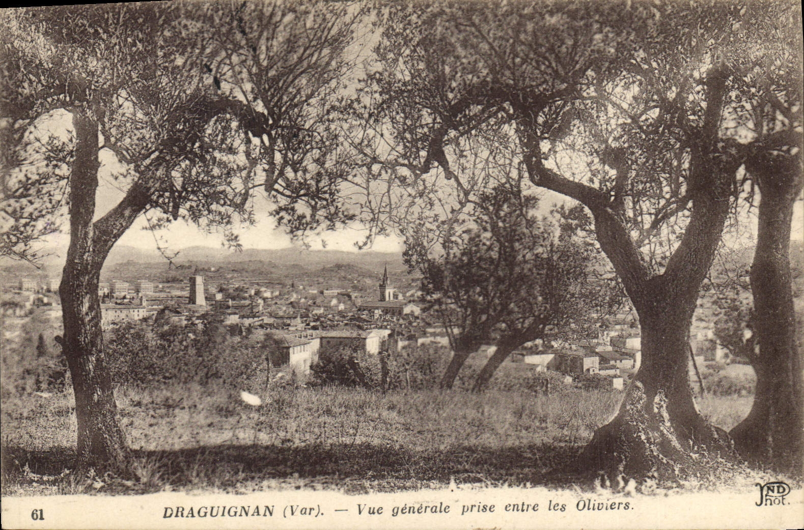 CPA Draguignan Var Vue generale prise entre les Oliviers