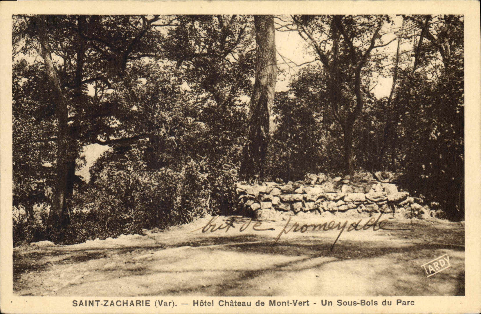 CPA Saint Zacharie Var Hotel Chateau de Mont Vert Un Sous Bois du Parc