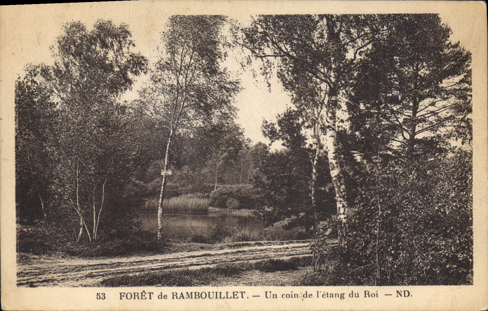 CPA Foret de Rambouillet Un coin de l'Etang du Roi 