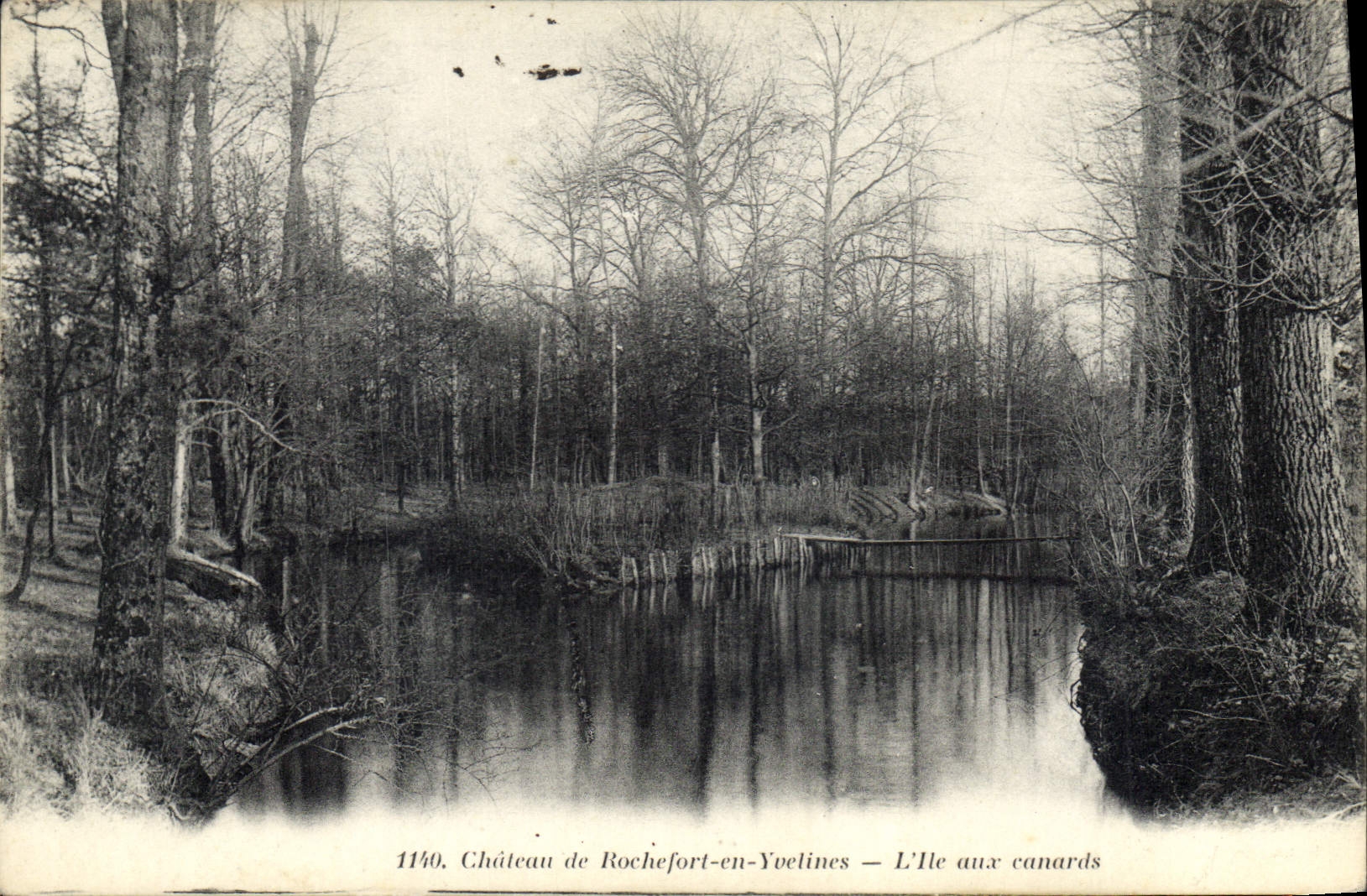 CPA Chateau de Rochefort en Yvelines L'lle aux canards