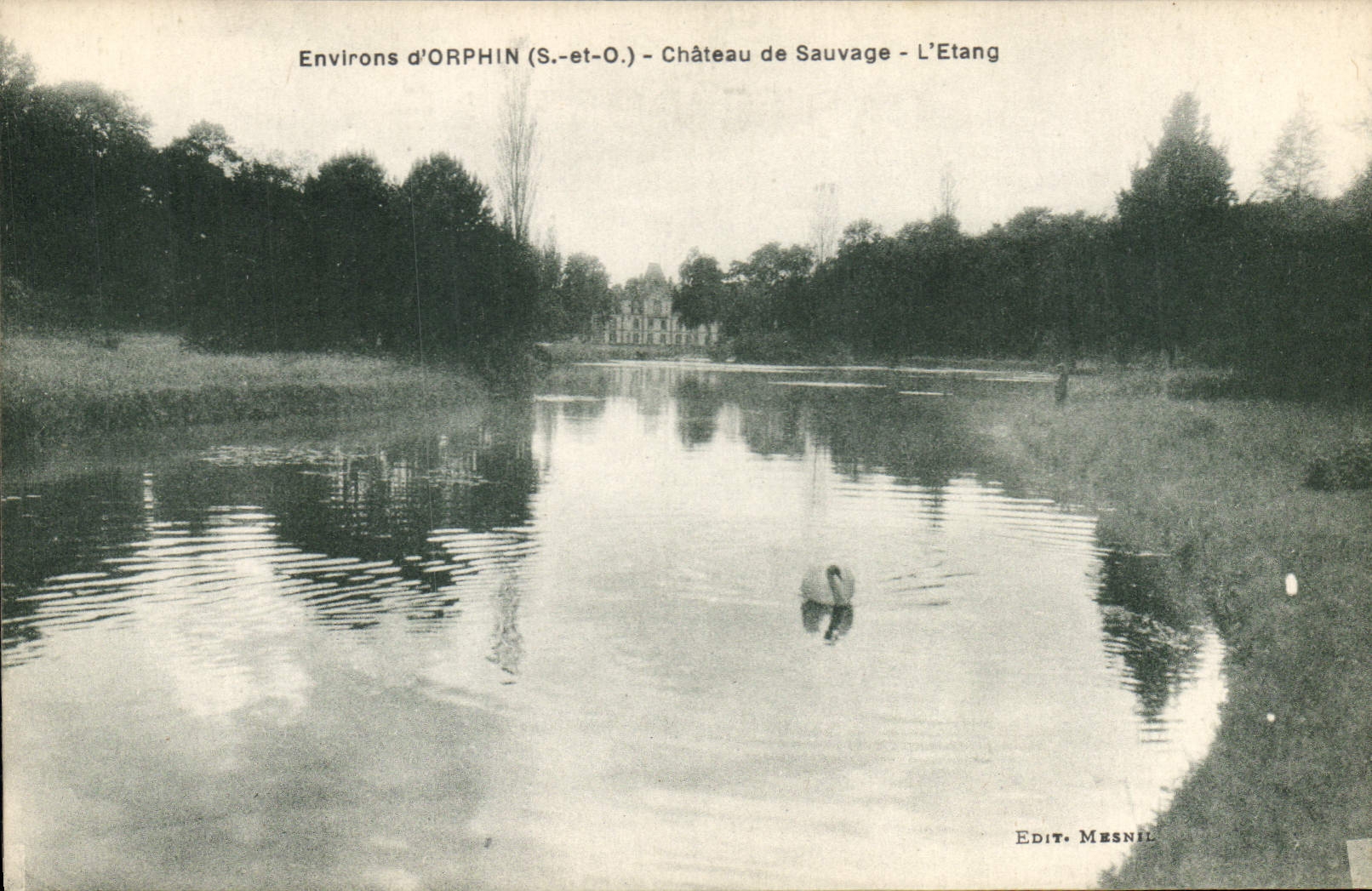 CPA Environs d Orphin S et O Chateau de Sauvage L'Etang