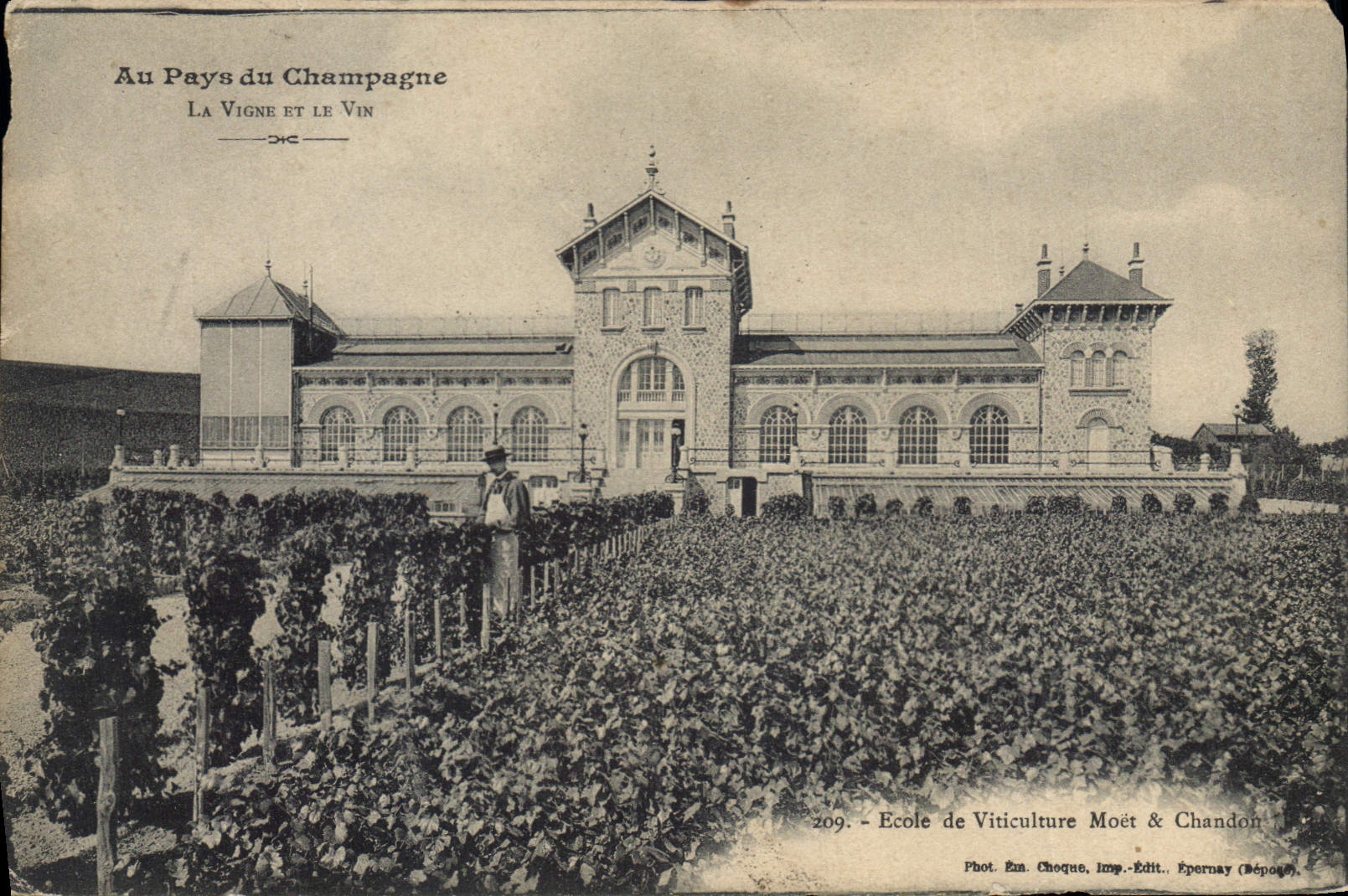 CPA La Vigne et le Vin Ecole de Viticulture Moet & Chandon