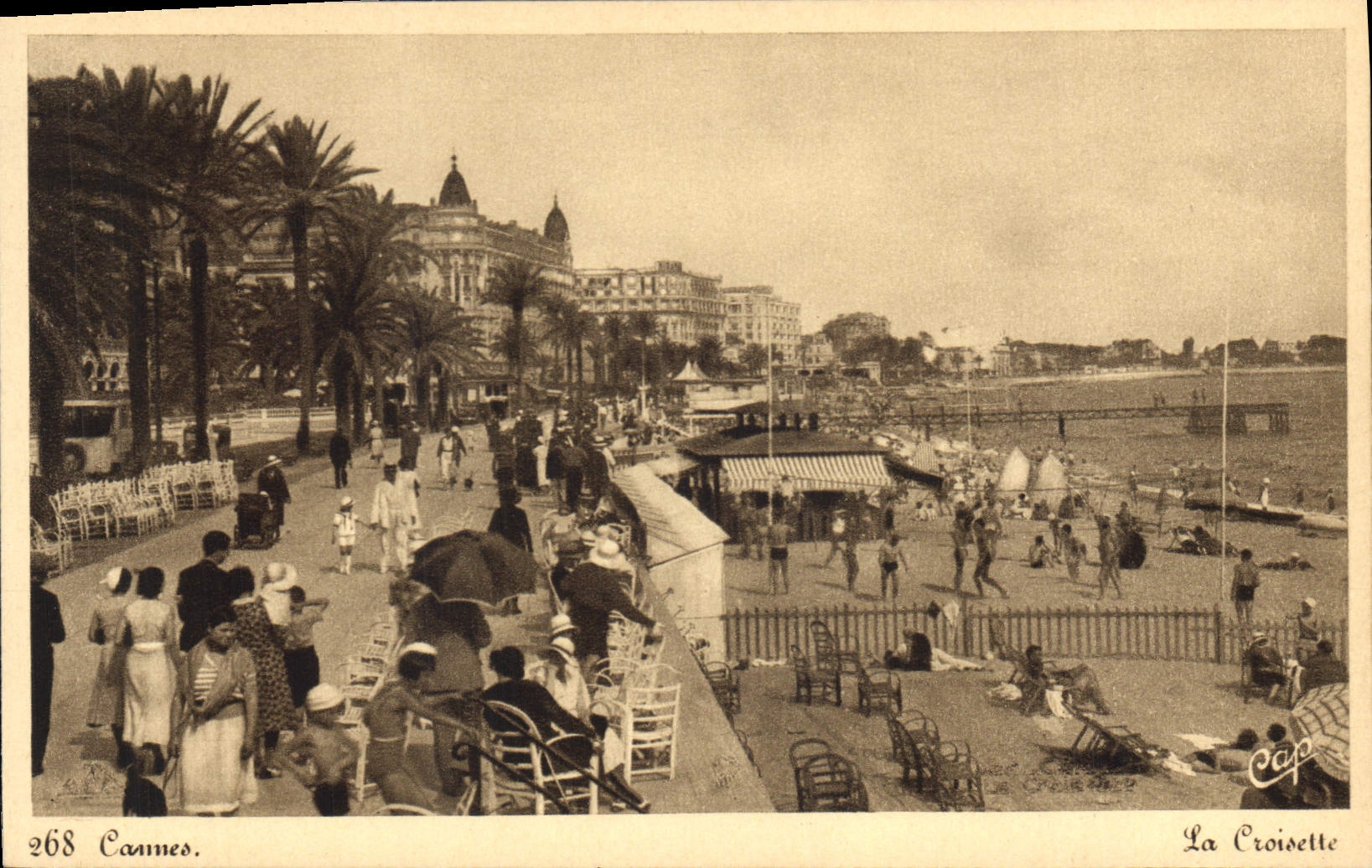 CPA Cannes La Croisette Volley-Ball Volley Ball