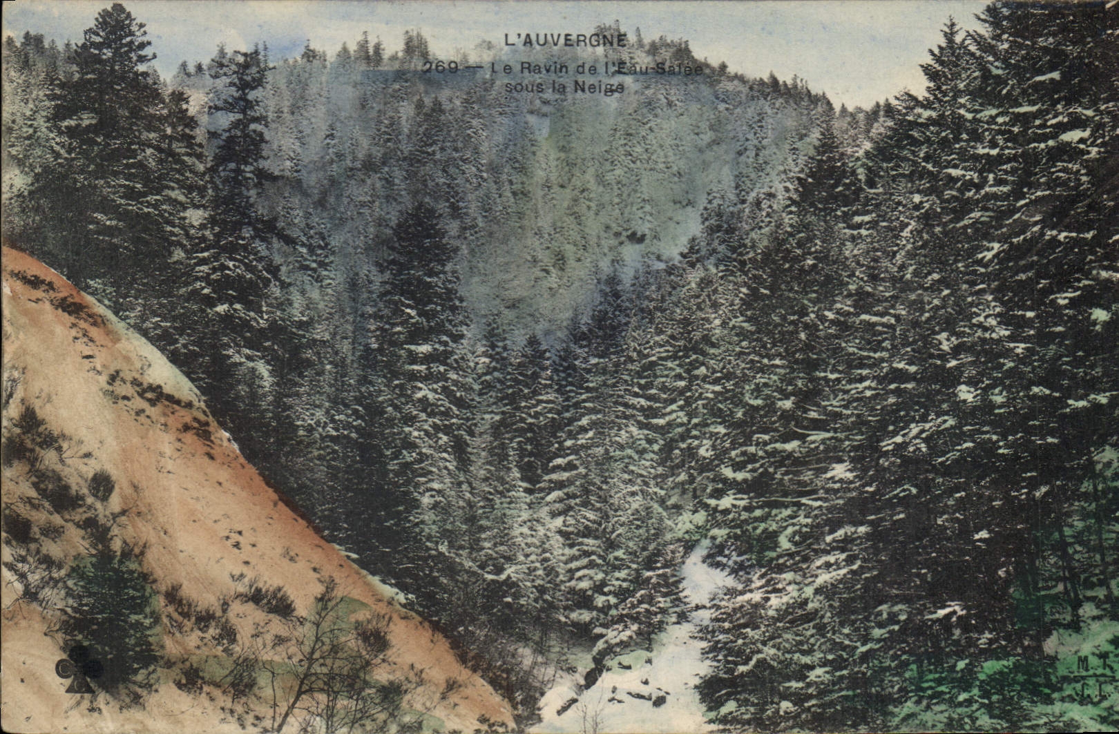CPA L'Auvergne Le Ravin 