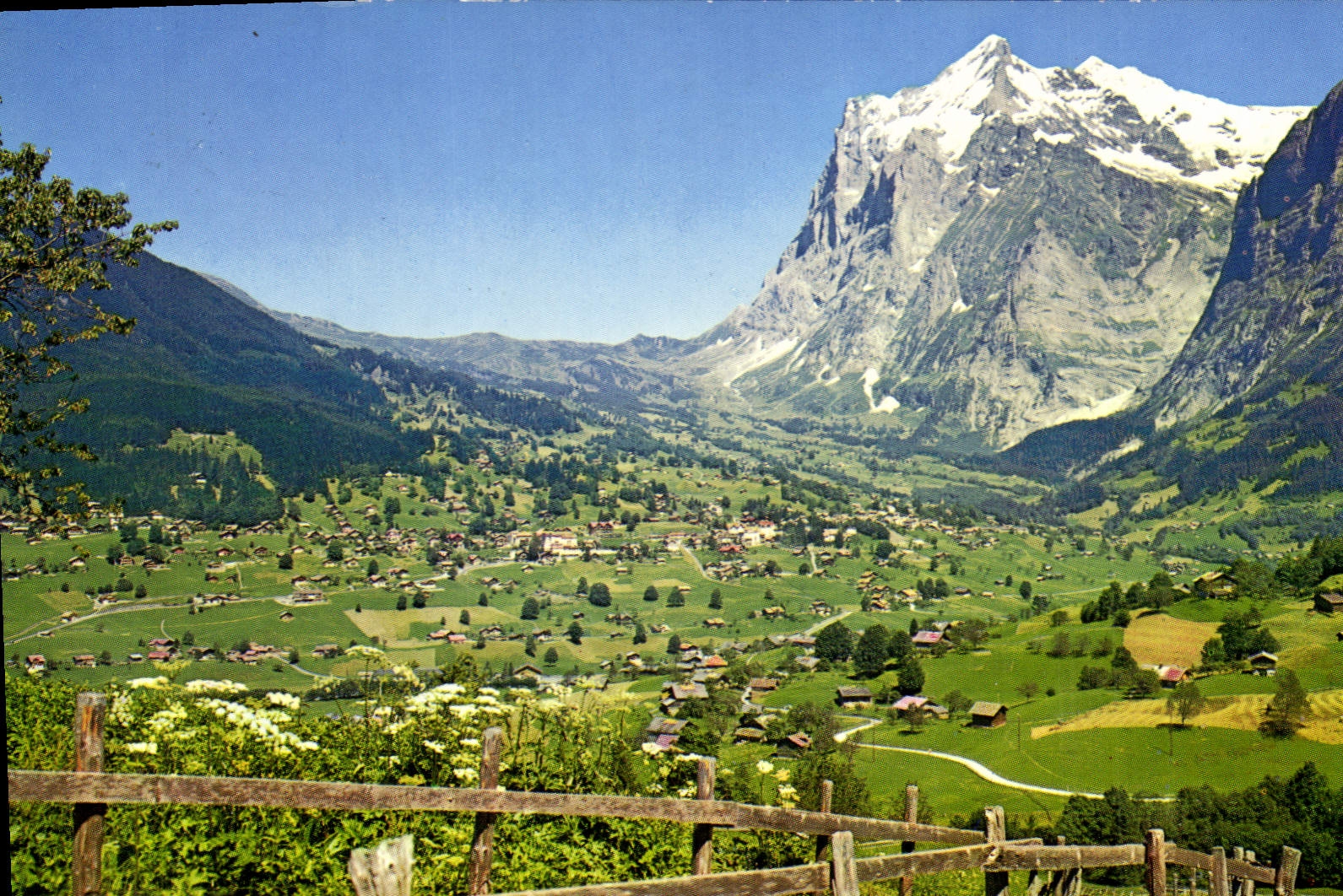 CPM Grindelwald Wetterhorn 