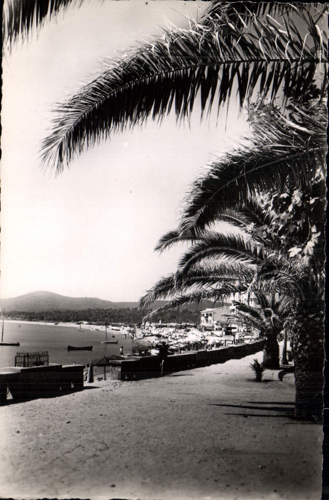 CPA Le Lavandou La Plage 