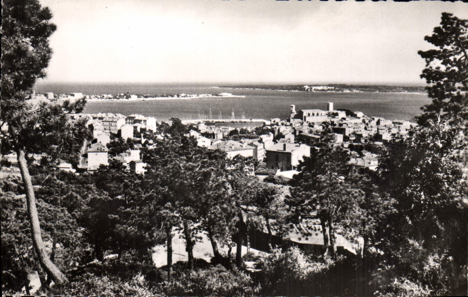 CPA Cannes et les Iles de Lerins 