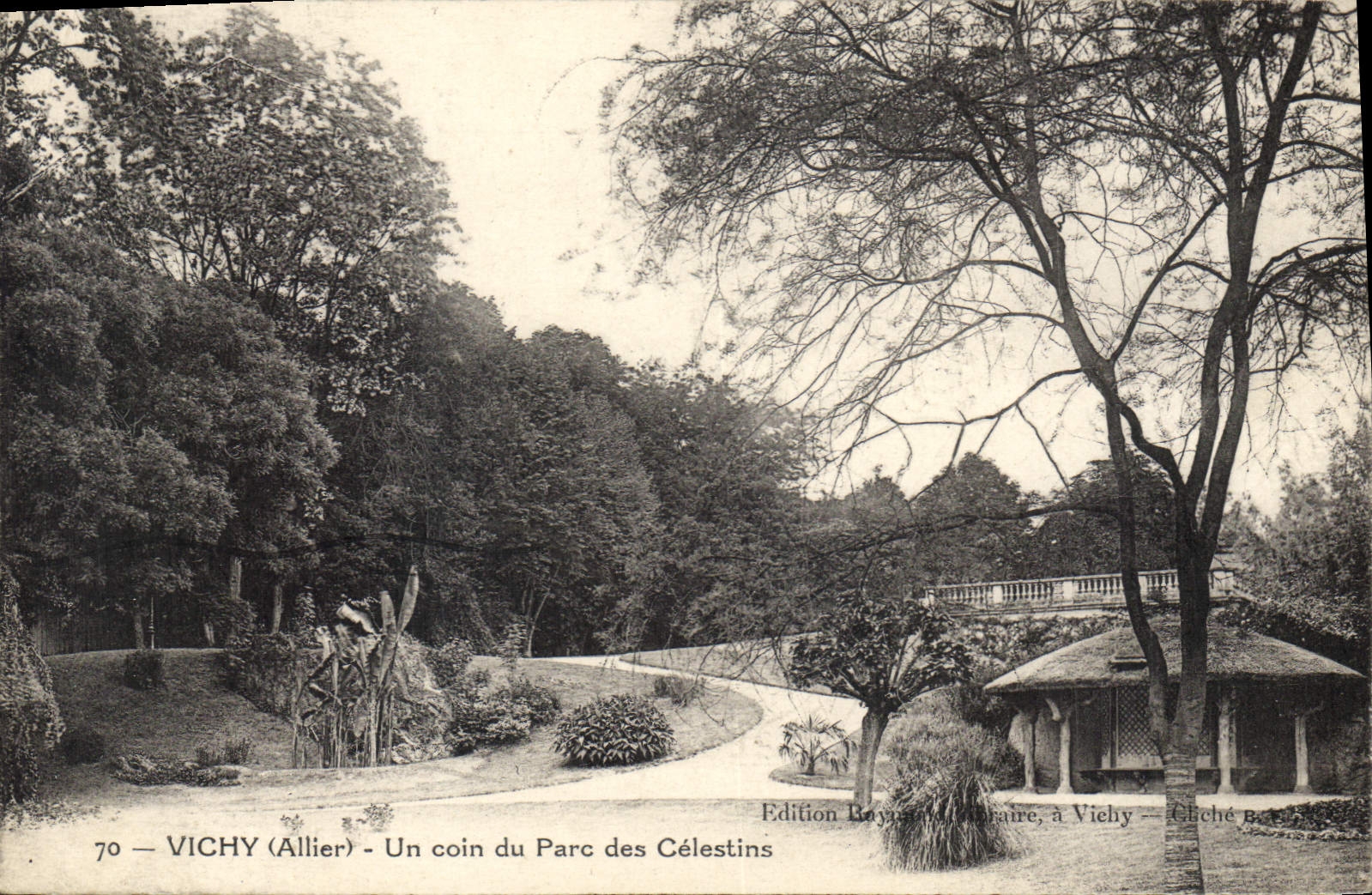 CPA Vichy Allier Un coin du Parc des Celestins 