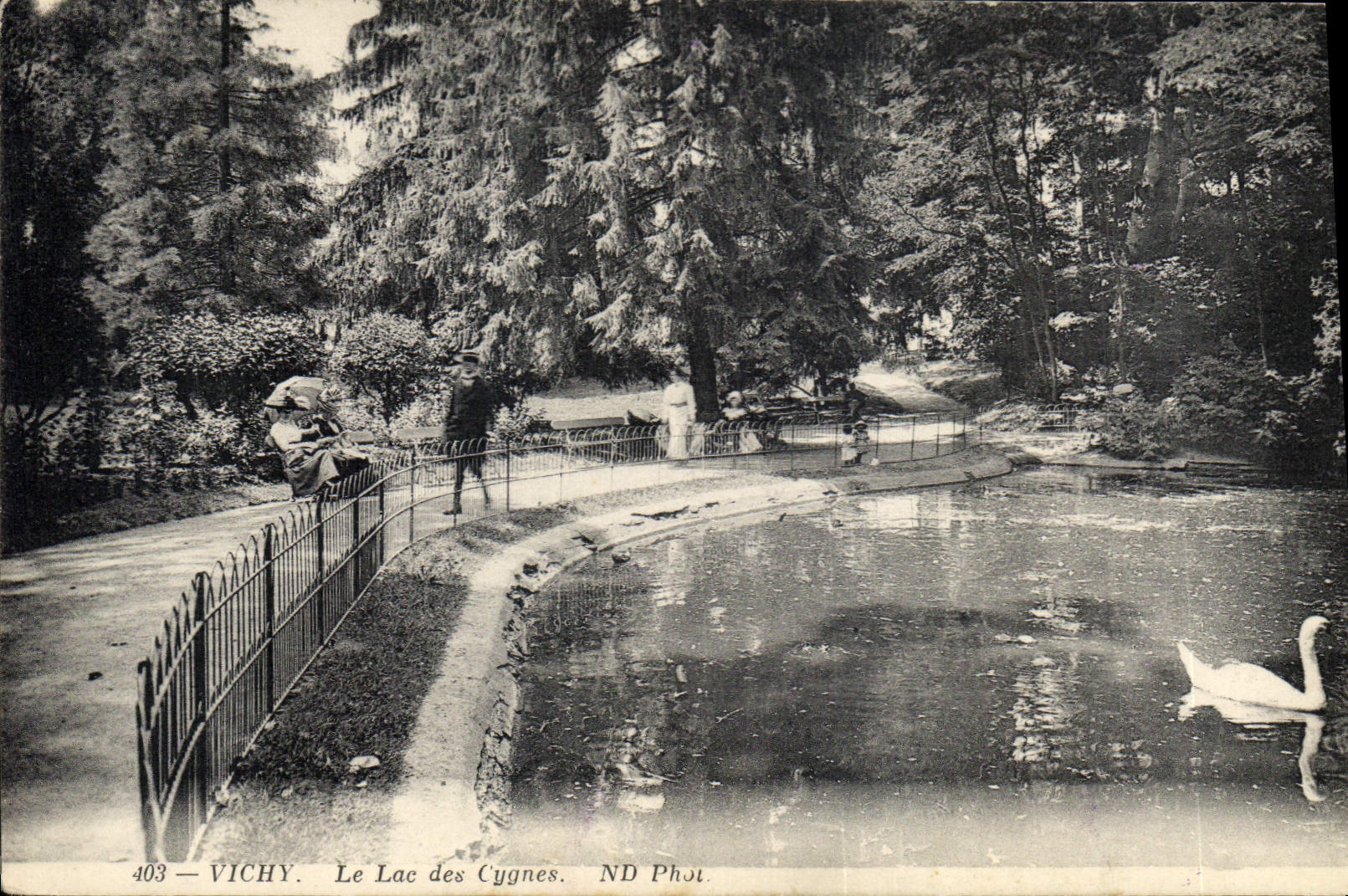 CPA Vichy Le Lac des Cygnes 