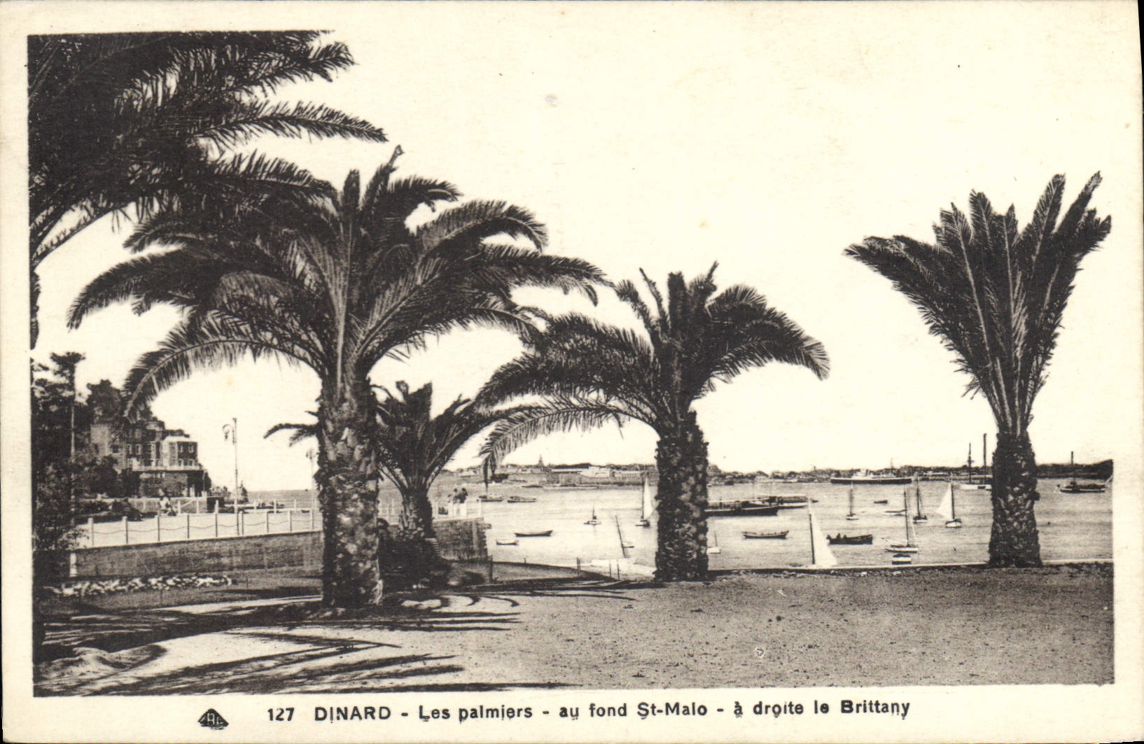 CPA Dinard Les palmiers au fond St Malo 
