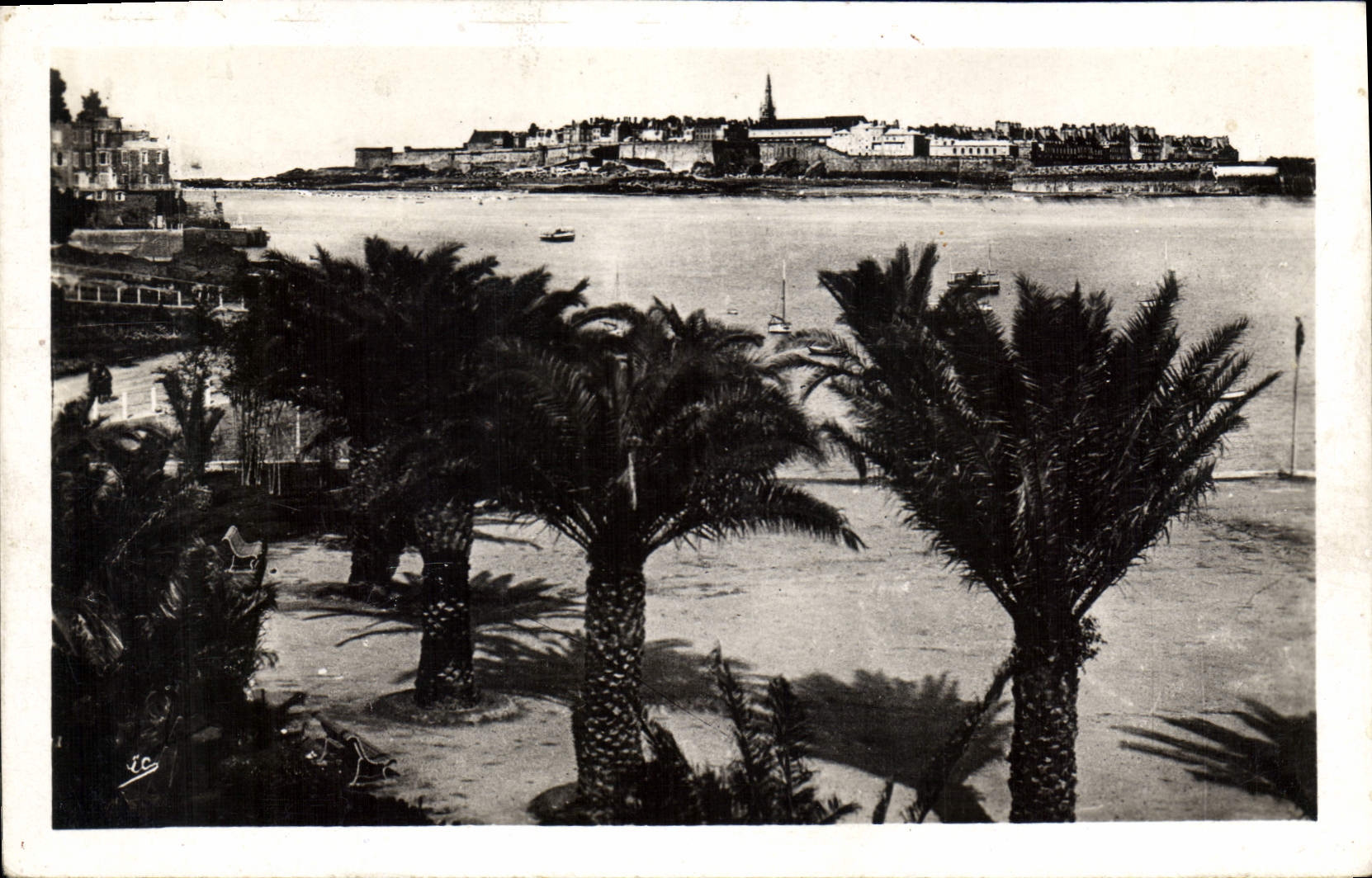 CPA Cote d'Emeraude Dinard La Palmerie dans le lointain St Malo 