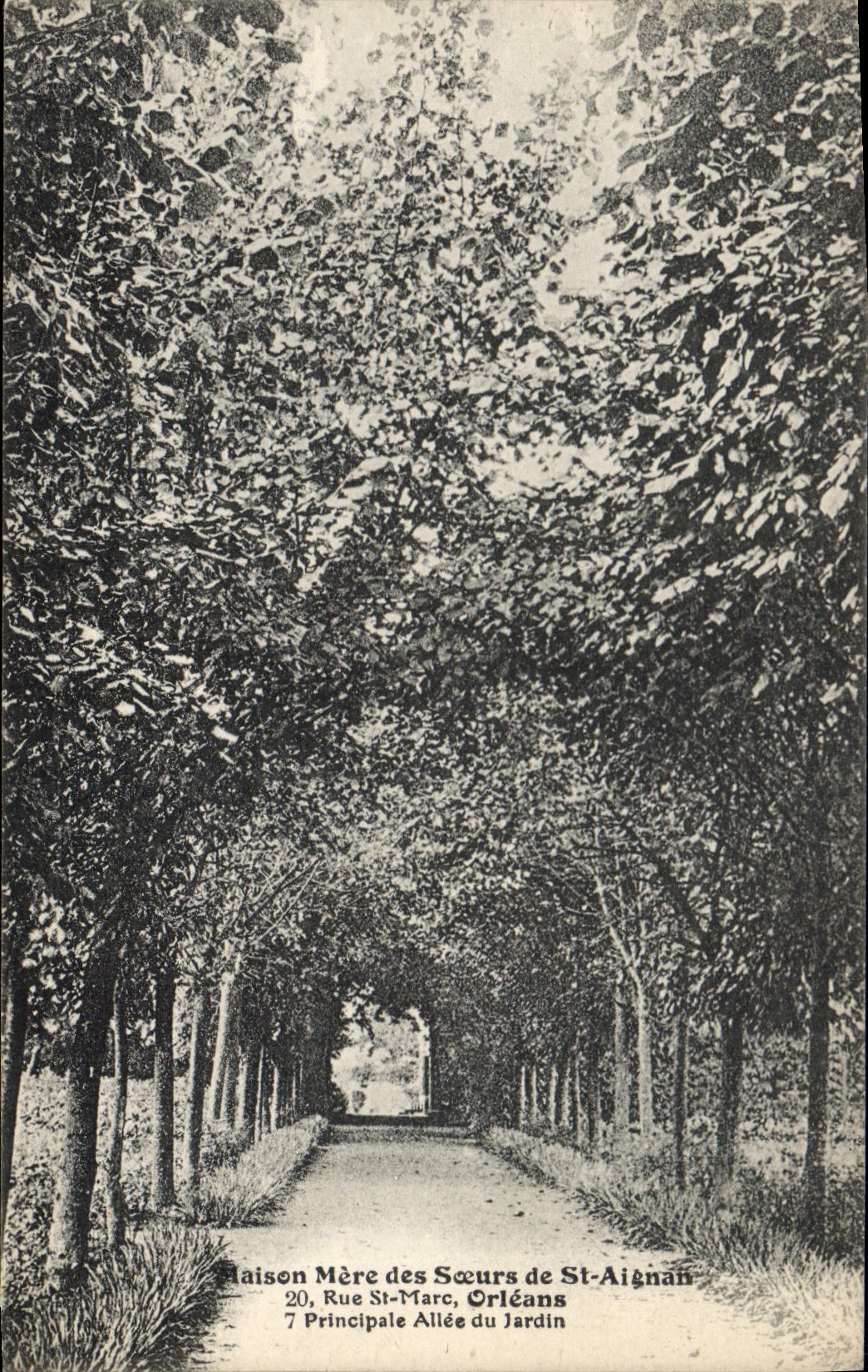 CPA Orleans Maison Mere des Soeurs de St Aignan Principale allee du jardin