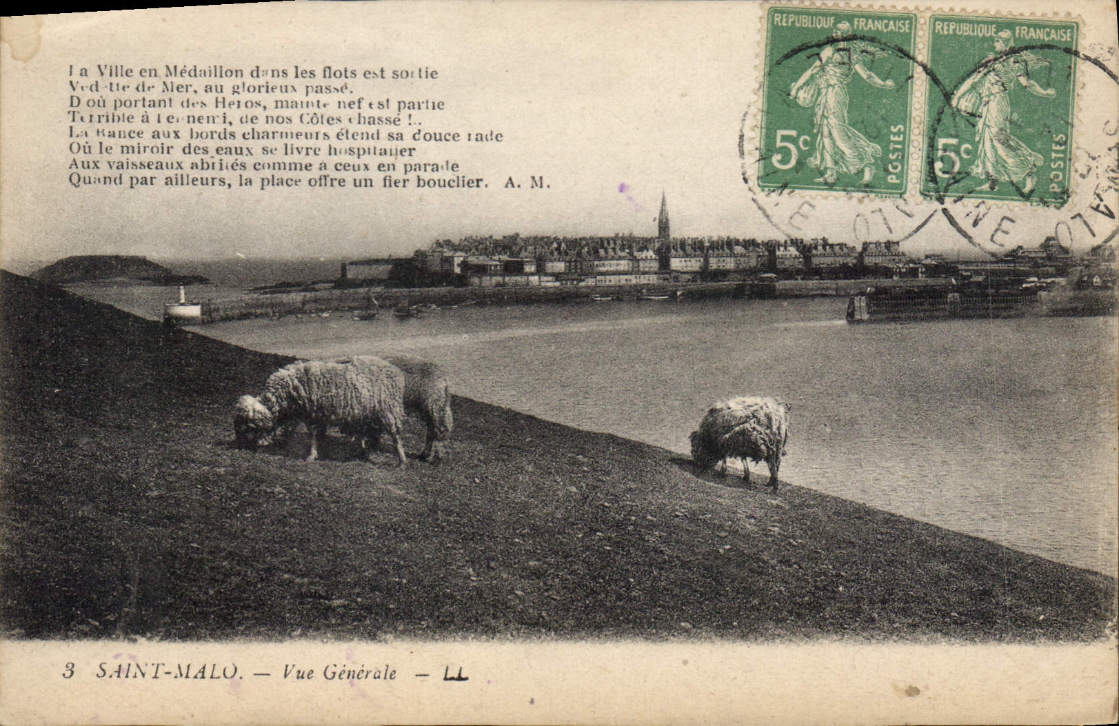 CPA Saint Malo Vue Generale Moutons