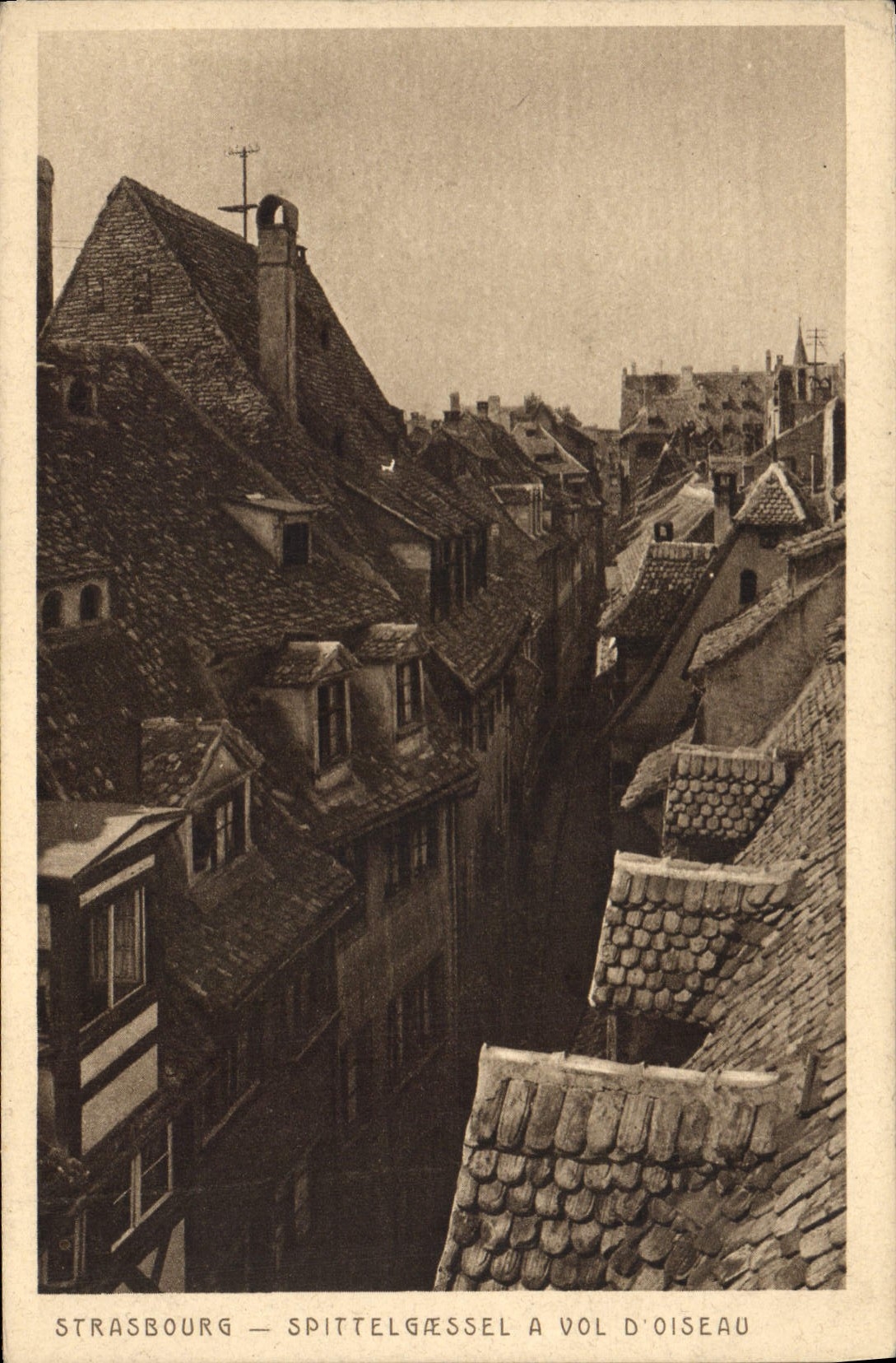 CPA Strasbourg Spittelgaessel a vol D'Oiseau 