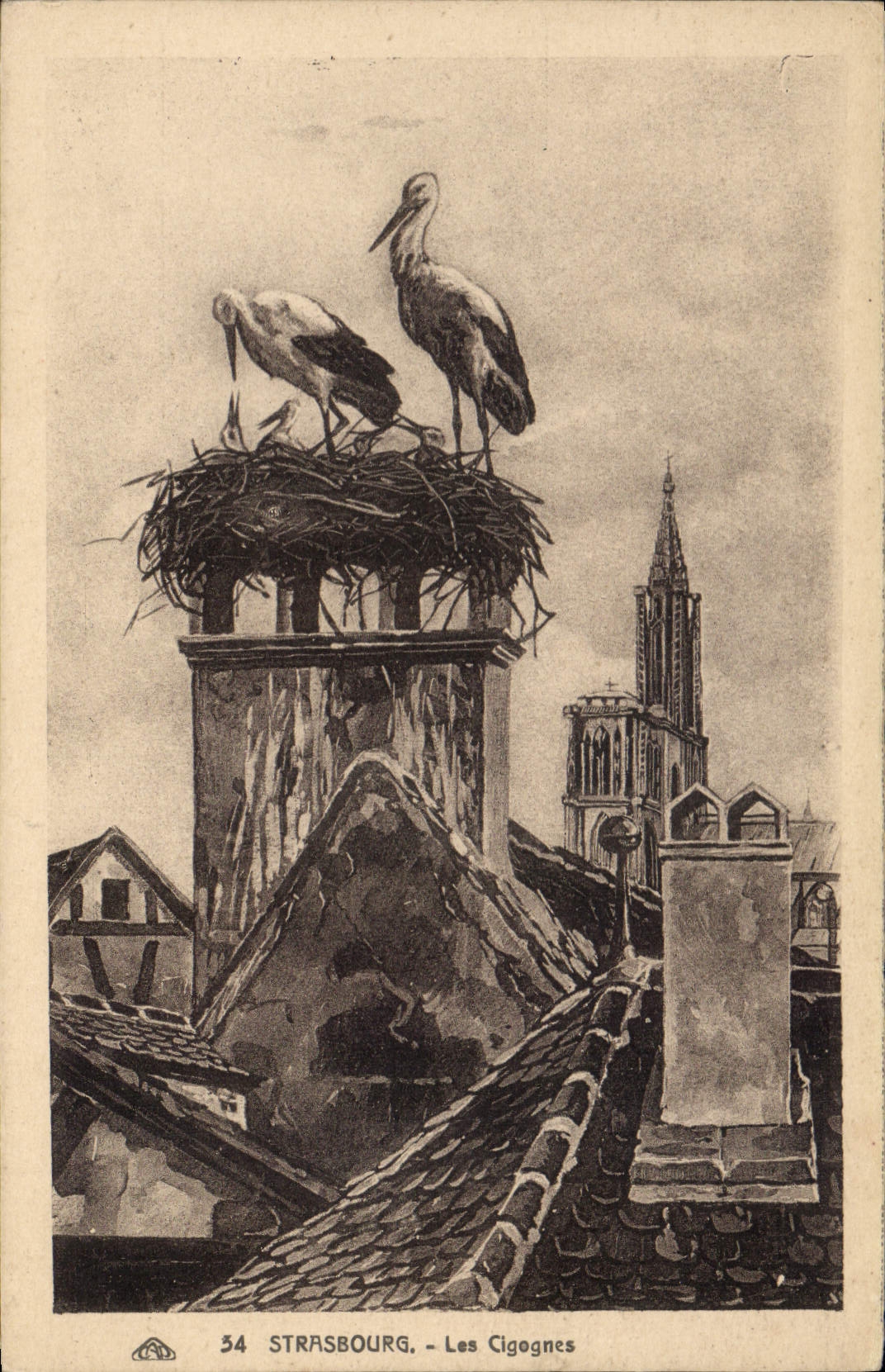 CPA Strasbourg les Cigognes 