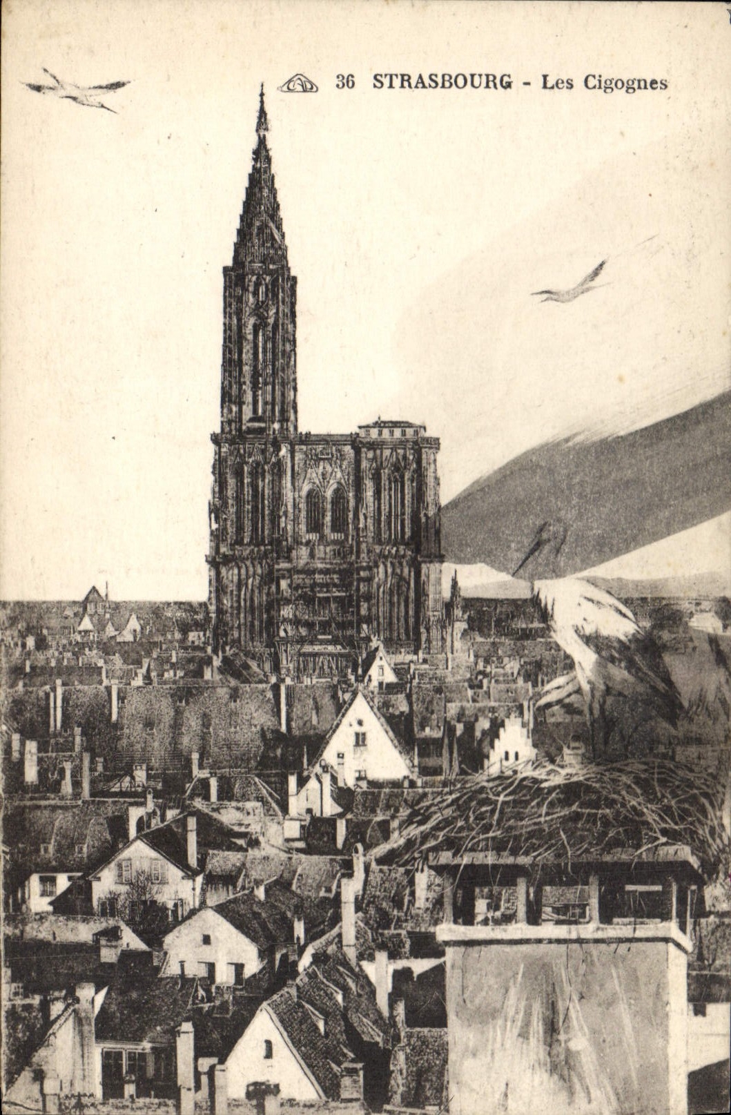 CPA Strasbourg les Cigognes 