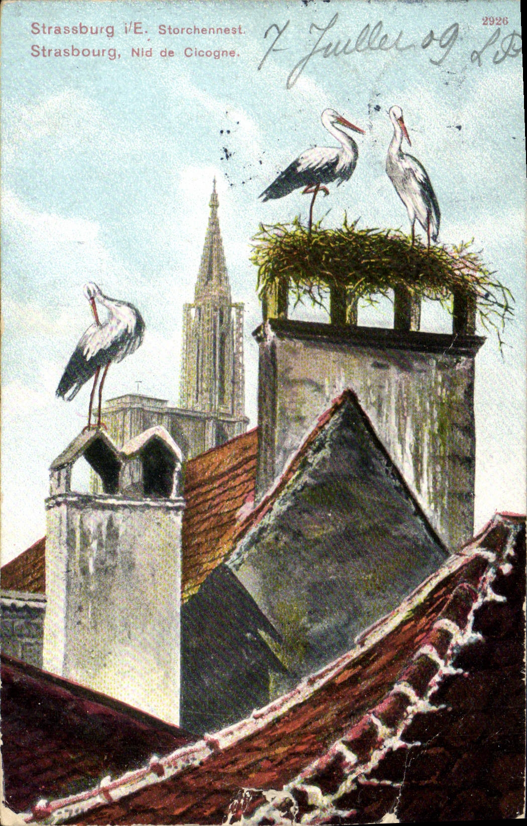 CPA Strasbourg Nid de Cigogne 