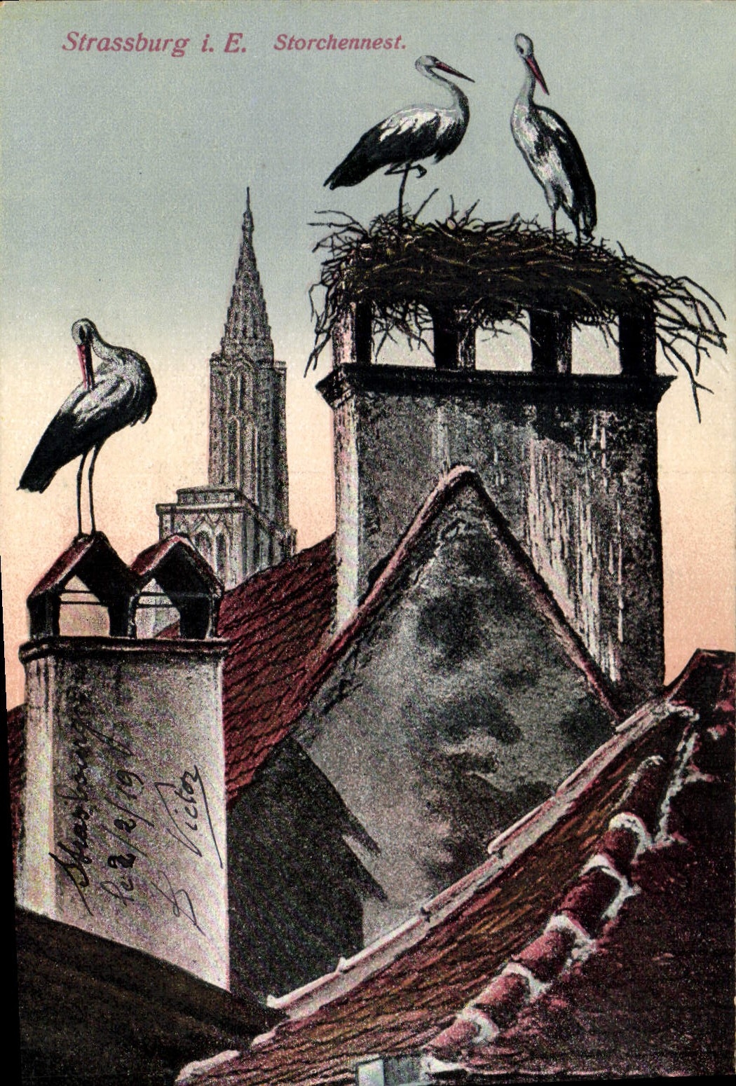 CPA Strassburg Storchennest 