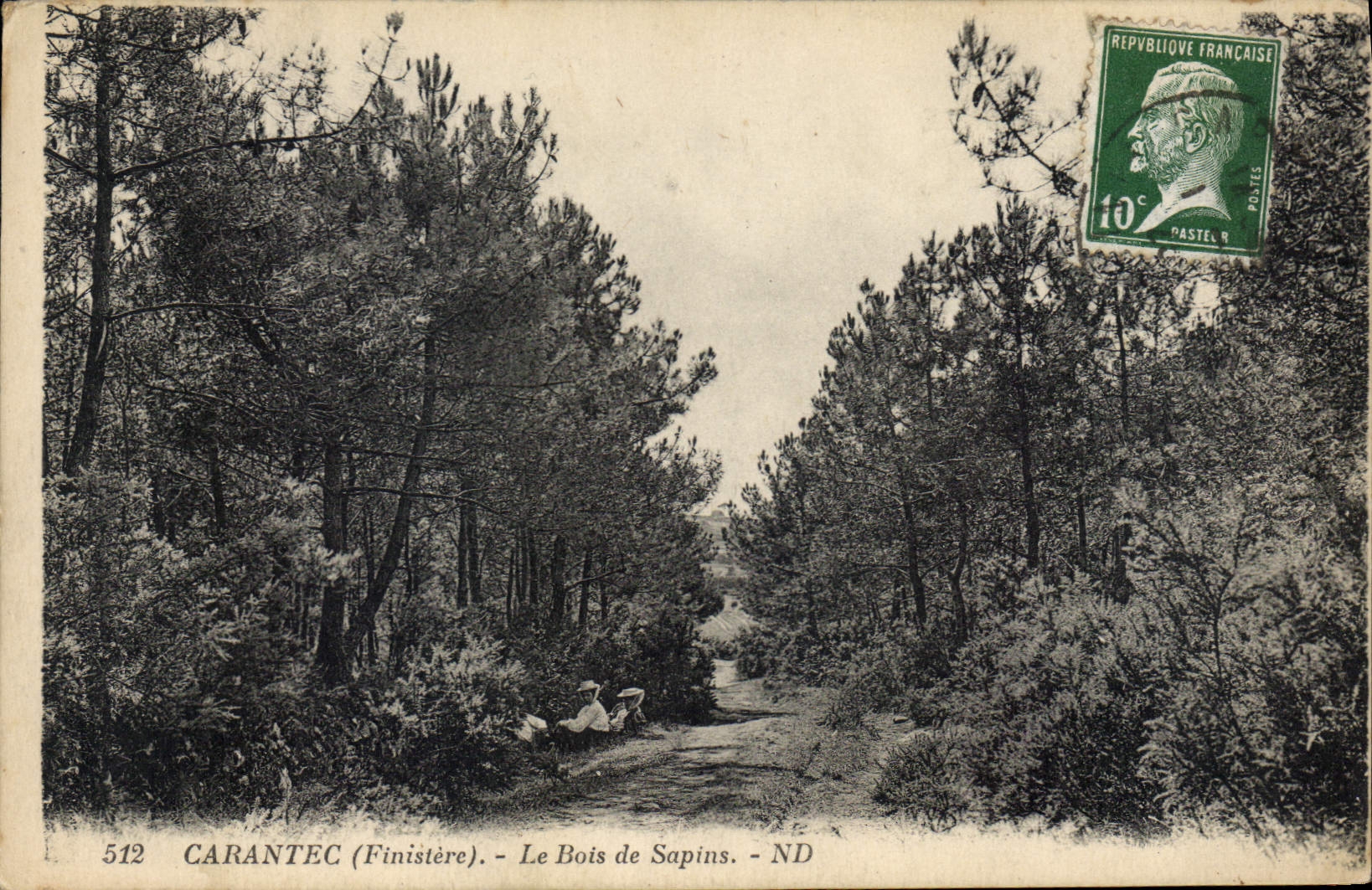 CPA Carantec Finistere le Bois de Sapins
