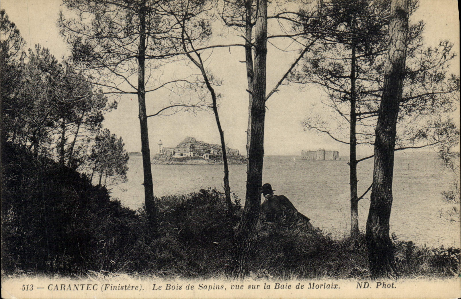 CPA Carantec Finistere le Bois de Sapins vue sur la Baie de Morlaix