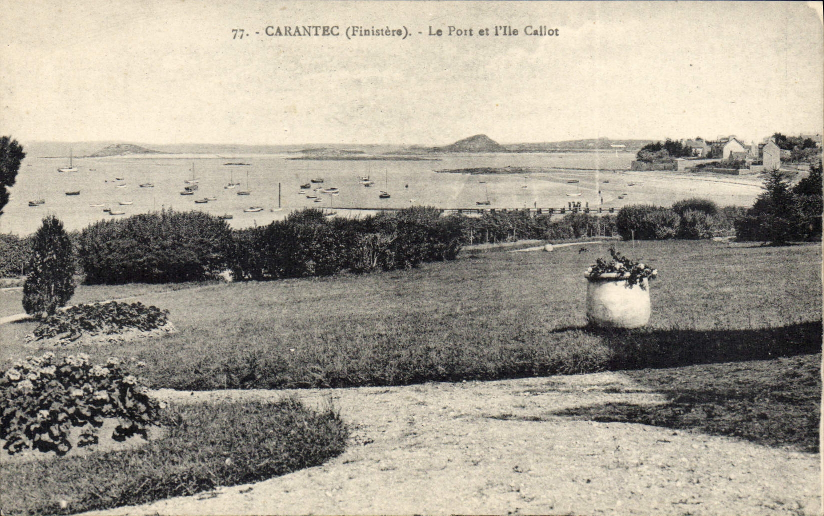 CPA Carantec Finistere le port et l'Ile Callot
