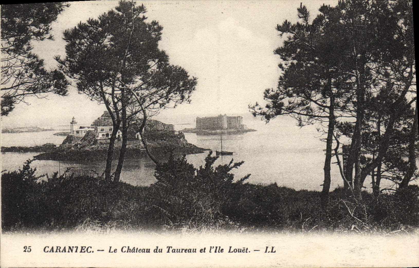 CPA Carantec le chateau du Taureau et l'Ile Louet
