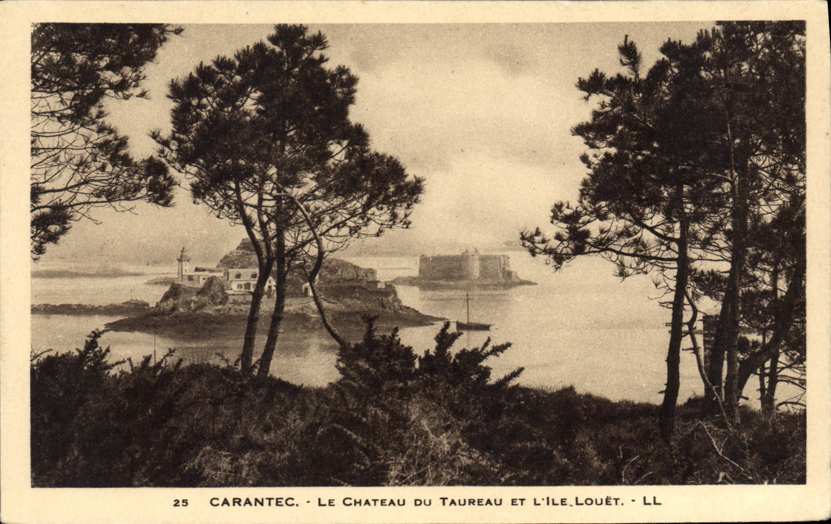 CPA Carantec le chateau du taureau et l'Ile Louet