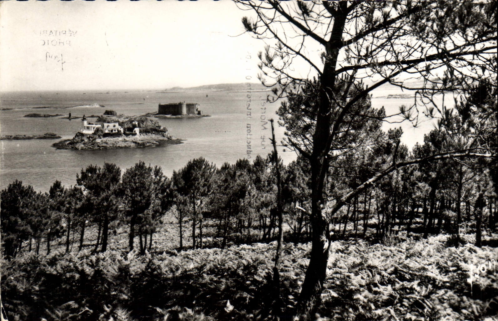 CPA Carantec Finistere l'Ile Louet et le chateau du Taureau