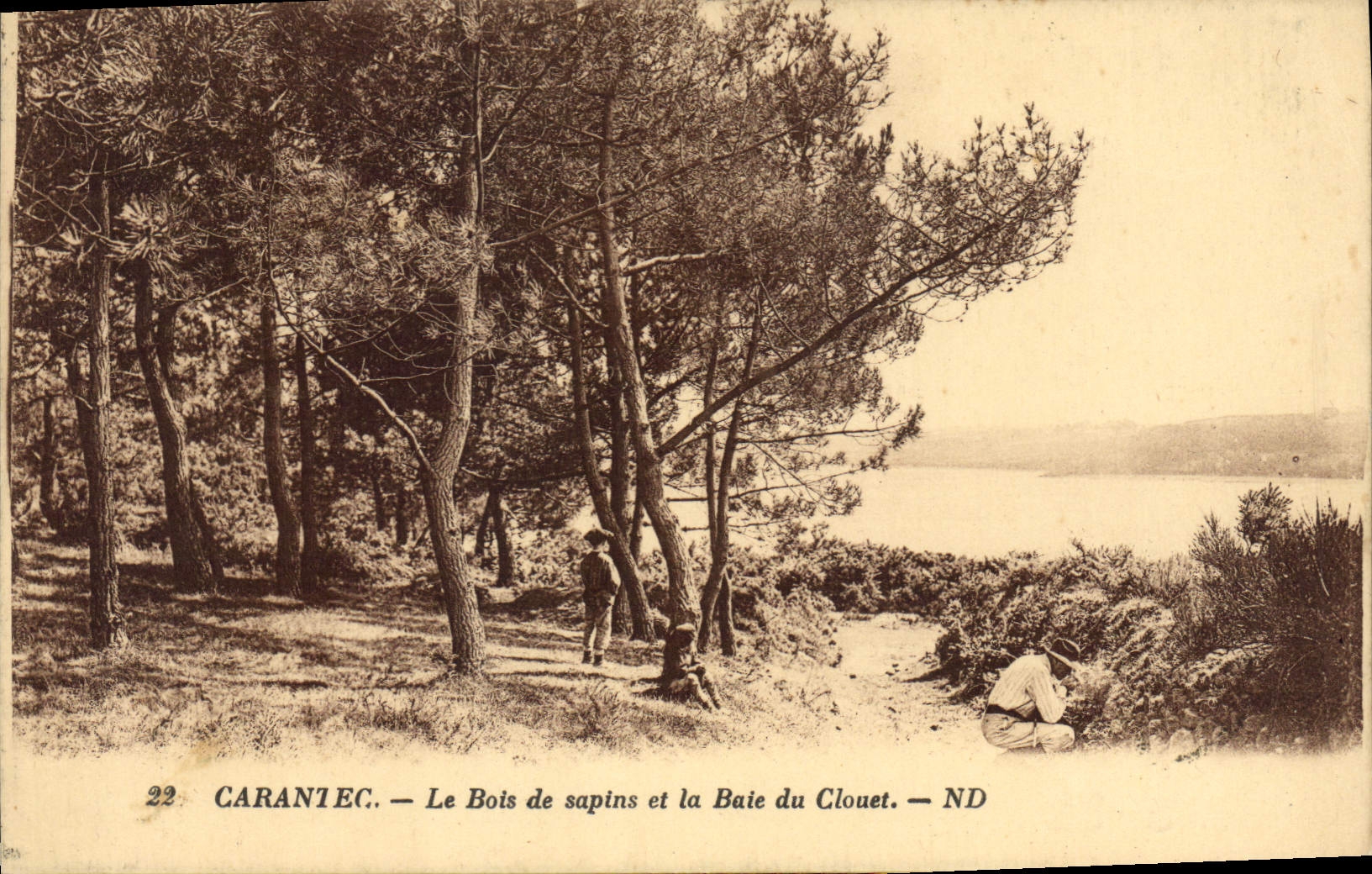 CPA Carantec le Bois de Sapins et le Baie du Couet