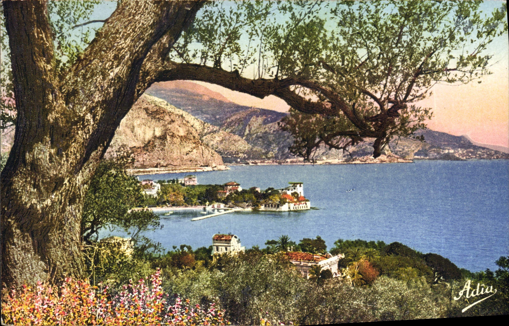 CPA Beaulieu sur Mer la pointe Fourmie 