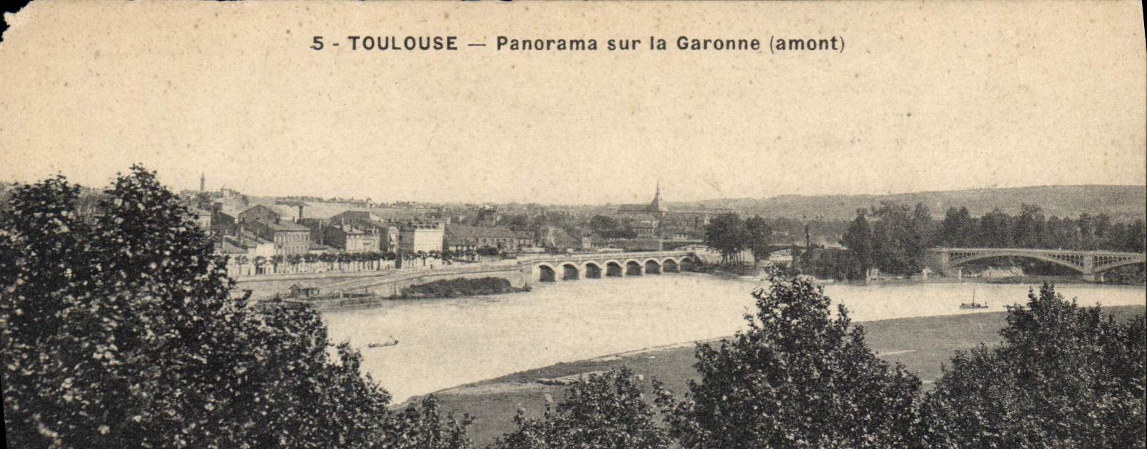 CPA Toulouse panorama sur la Garonne amont