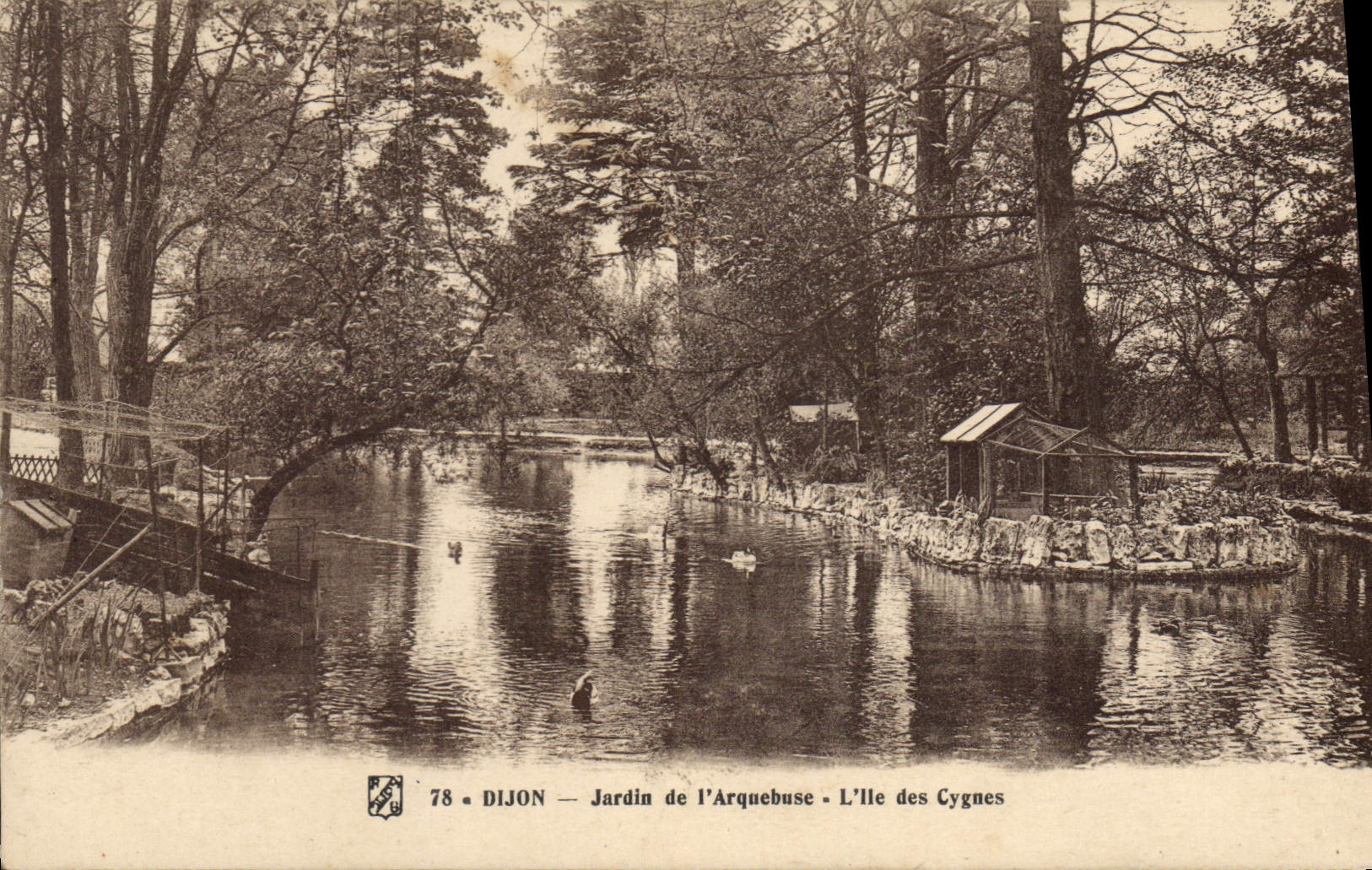 CPA Dijon Jardin de l'Arquebuse L'Ile des Cygnes