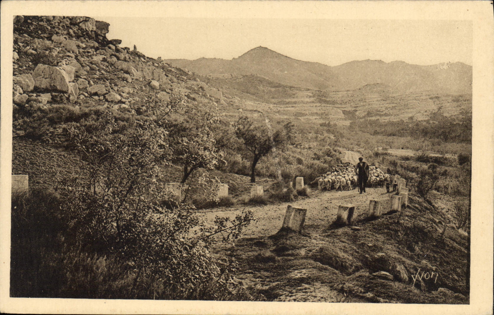 CPA Les Baux S du R Route de Saint Remy 