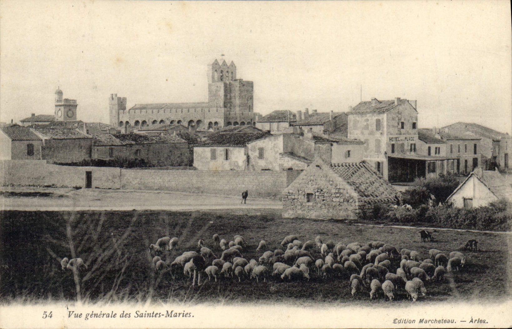CPA Vue generale des Saintes Maries Moutons
