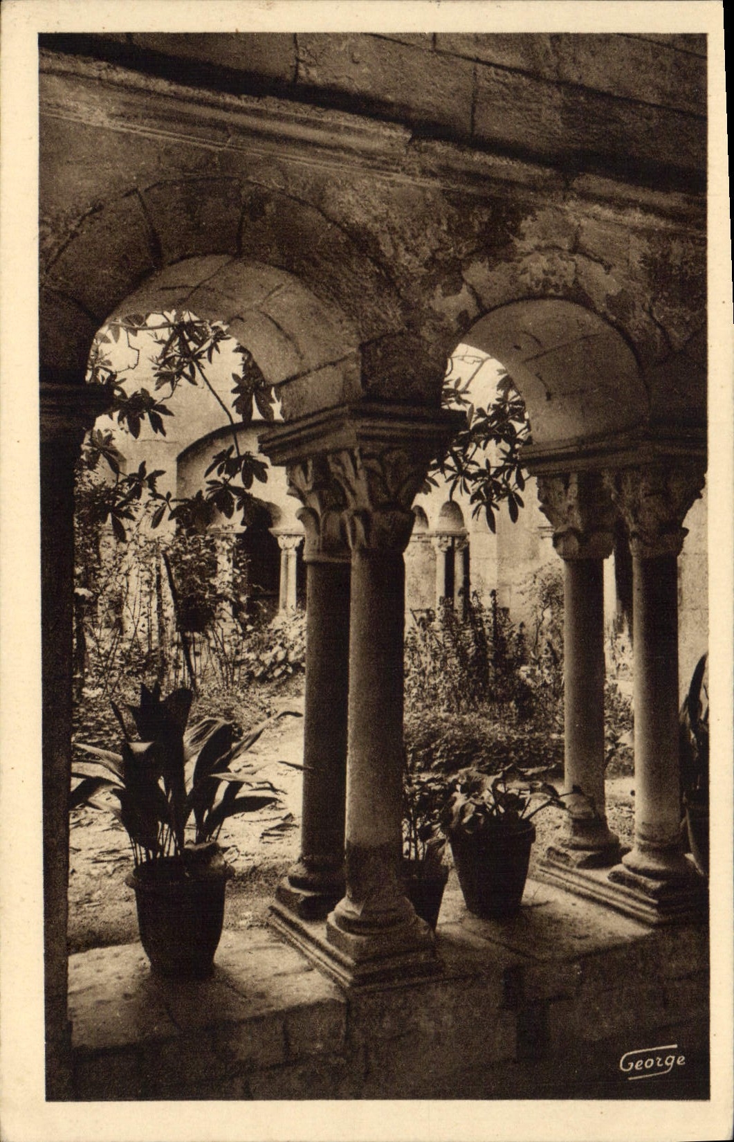 CPA Saint Remy de Provence Cloitre Saint Paul XII siecle