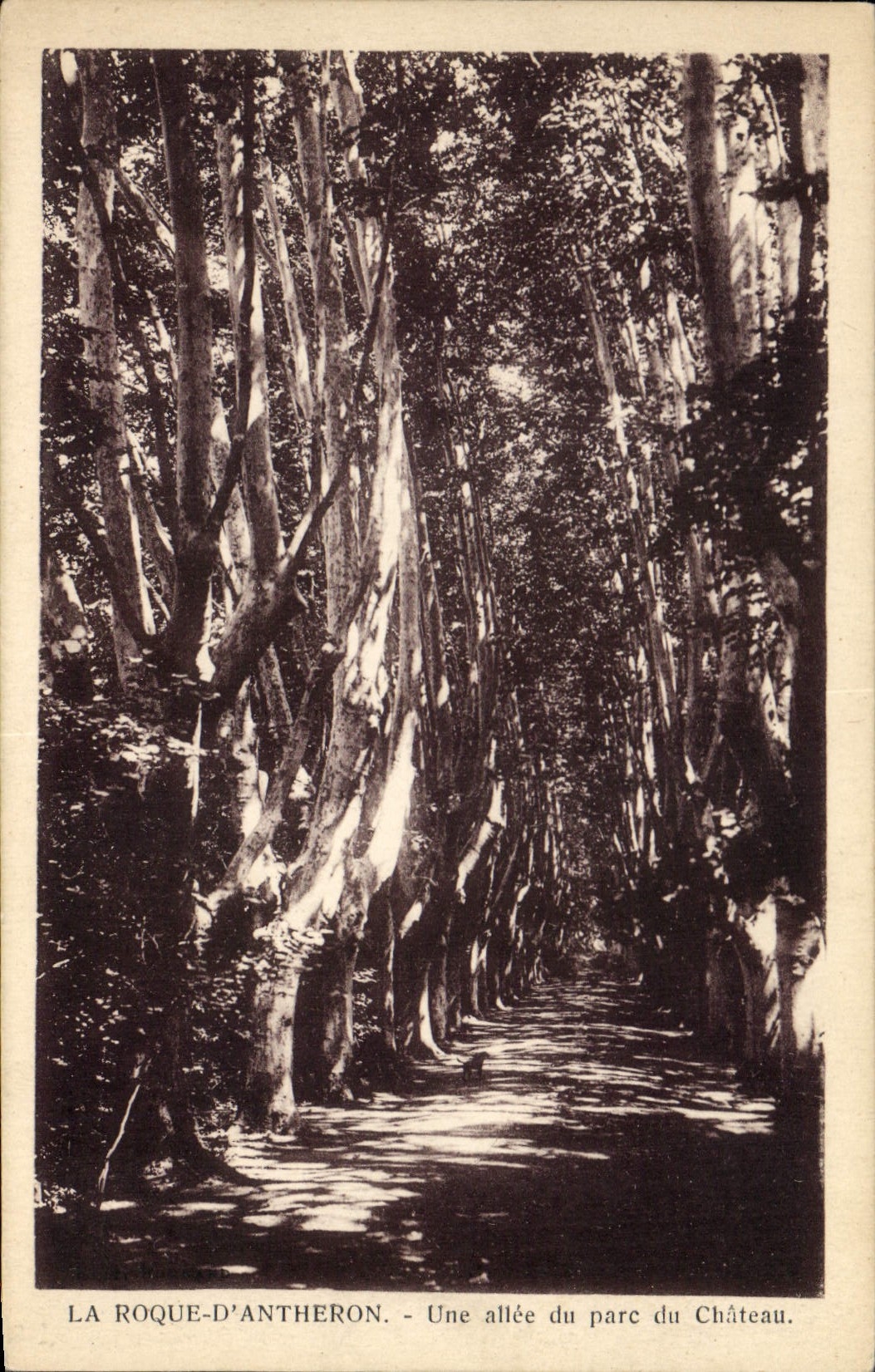 CPA La Roque D'Antheron Une Allee du parc du Chateau 