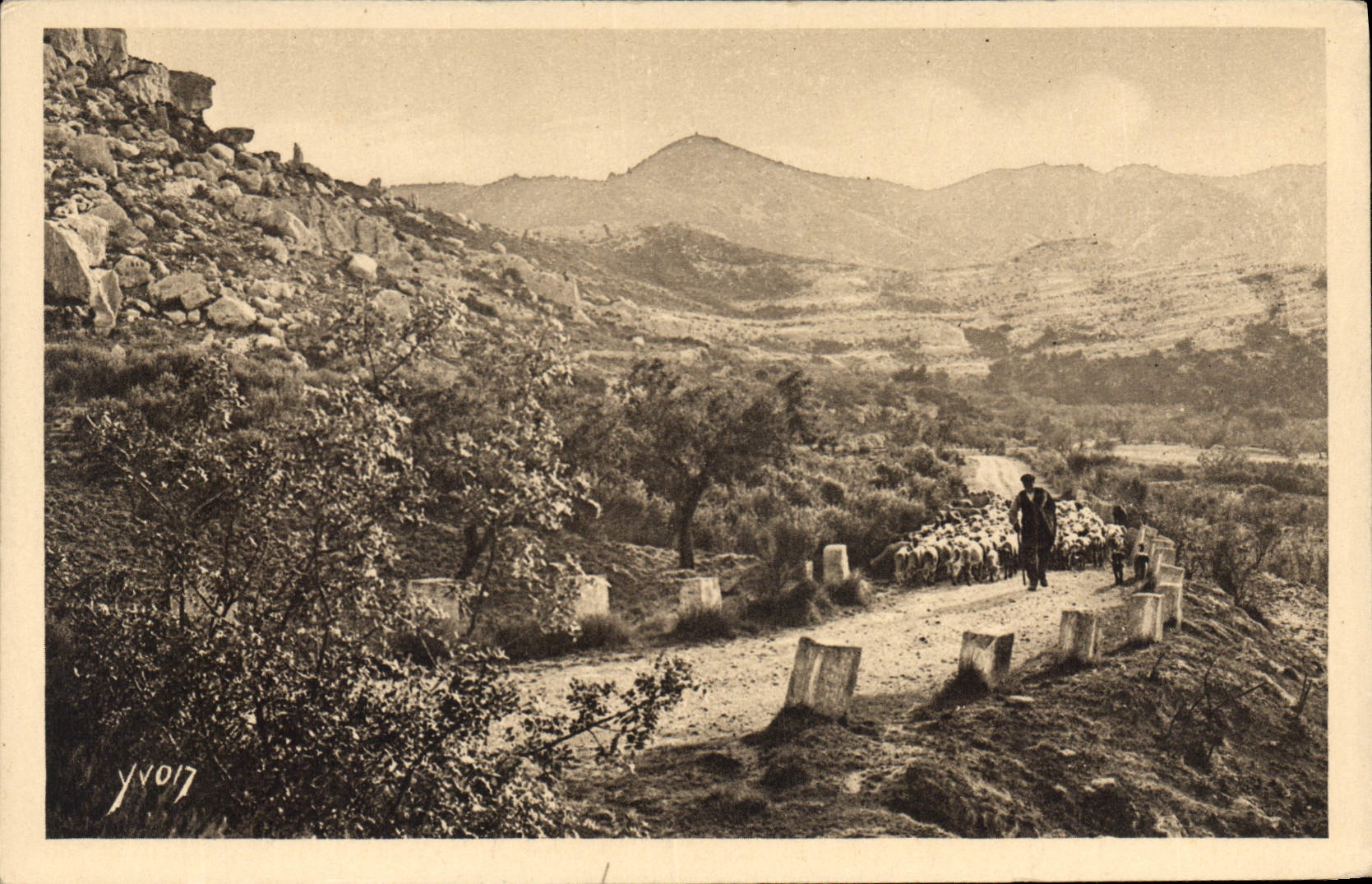 CPA Sur la Route de Saint Remy aux Baux