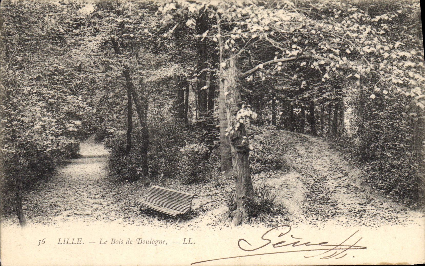 CPA Lille Le Bois de Boulogne