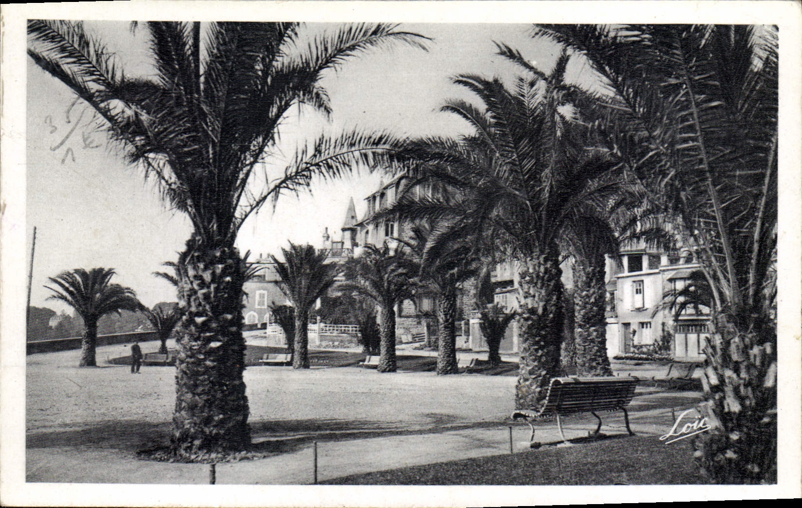 CPA Cote d'Emeraude Dinard Les Palmiers et la Promenaude Clair de Lune 