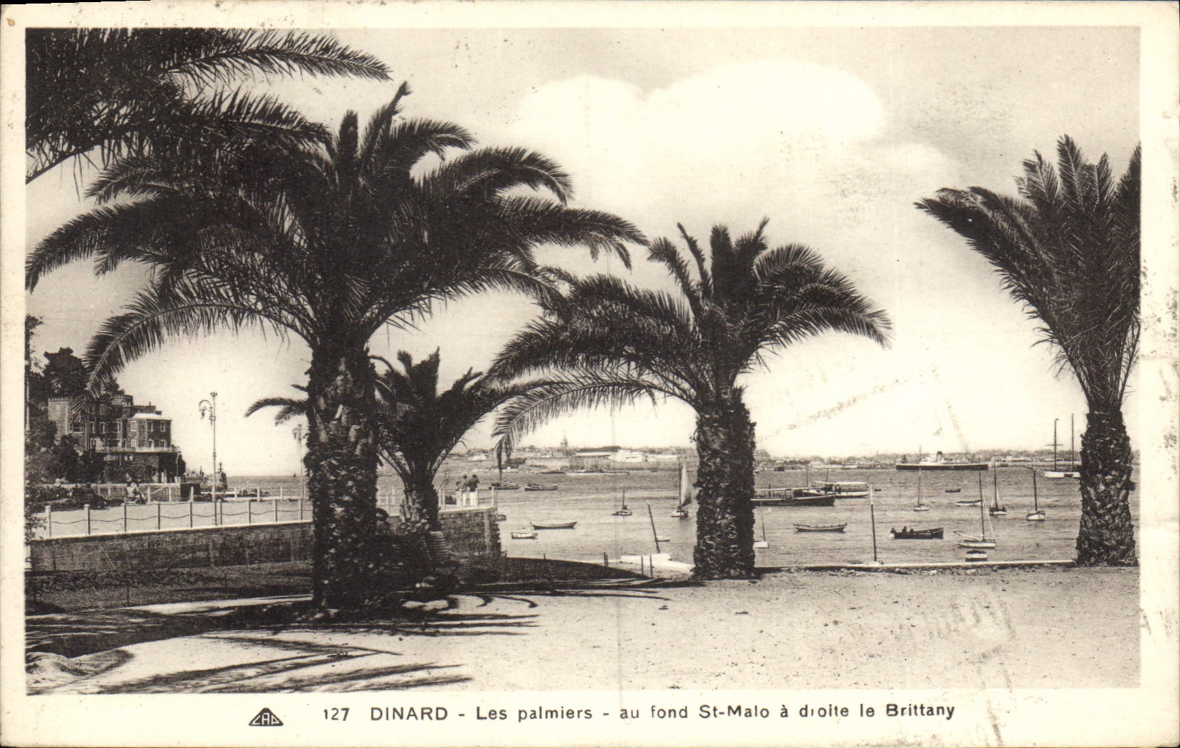 CPA Dinard Les Palmiers au fond St Malo a droite la Brittany 