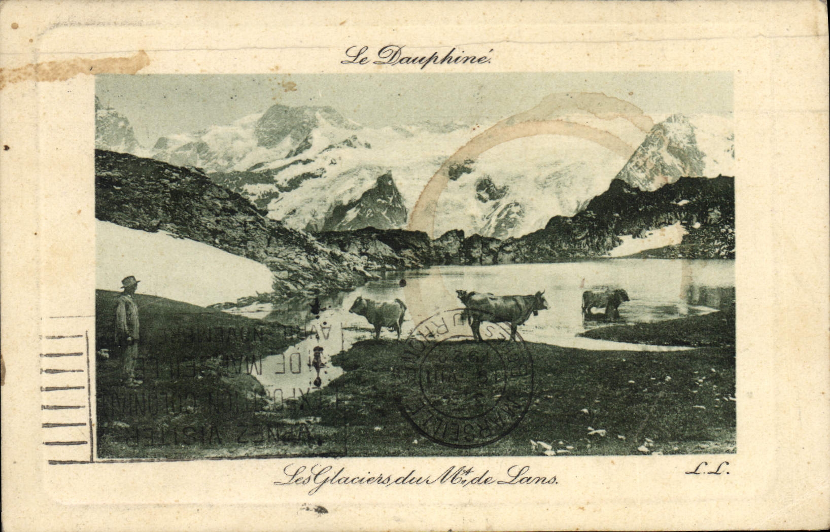 CPA Le Dauphine les Glaciers du M de Lans Vaches
